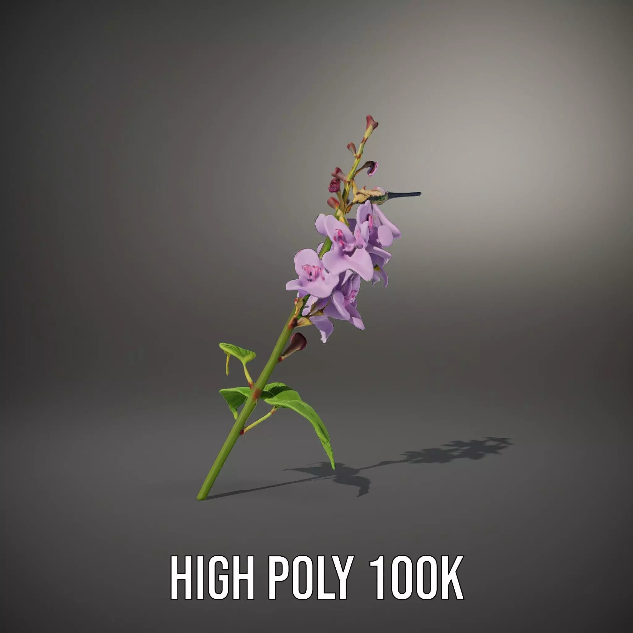 Lavender Floral Stalk model pack Low-poly 3D model_10