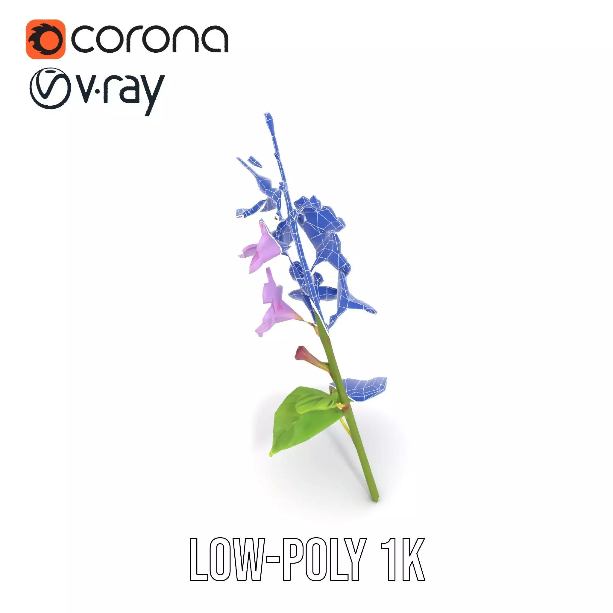 Lavender Floral Stalk model pack Low-poly 3D model_25