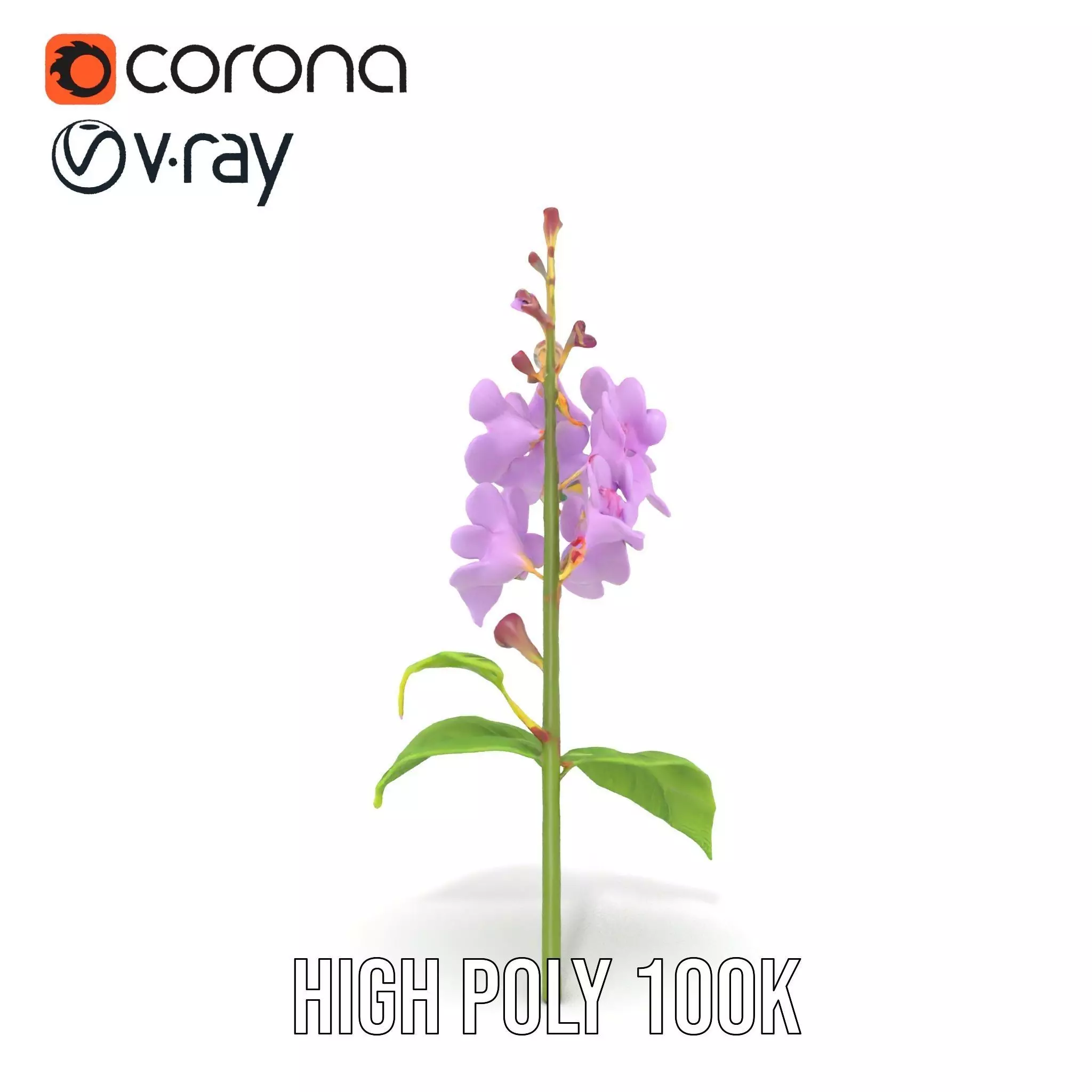 Lavender Floral Stalk model pack Low-poly 3D model_23