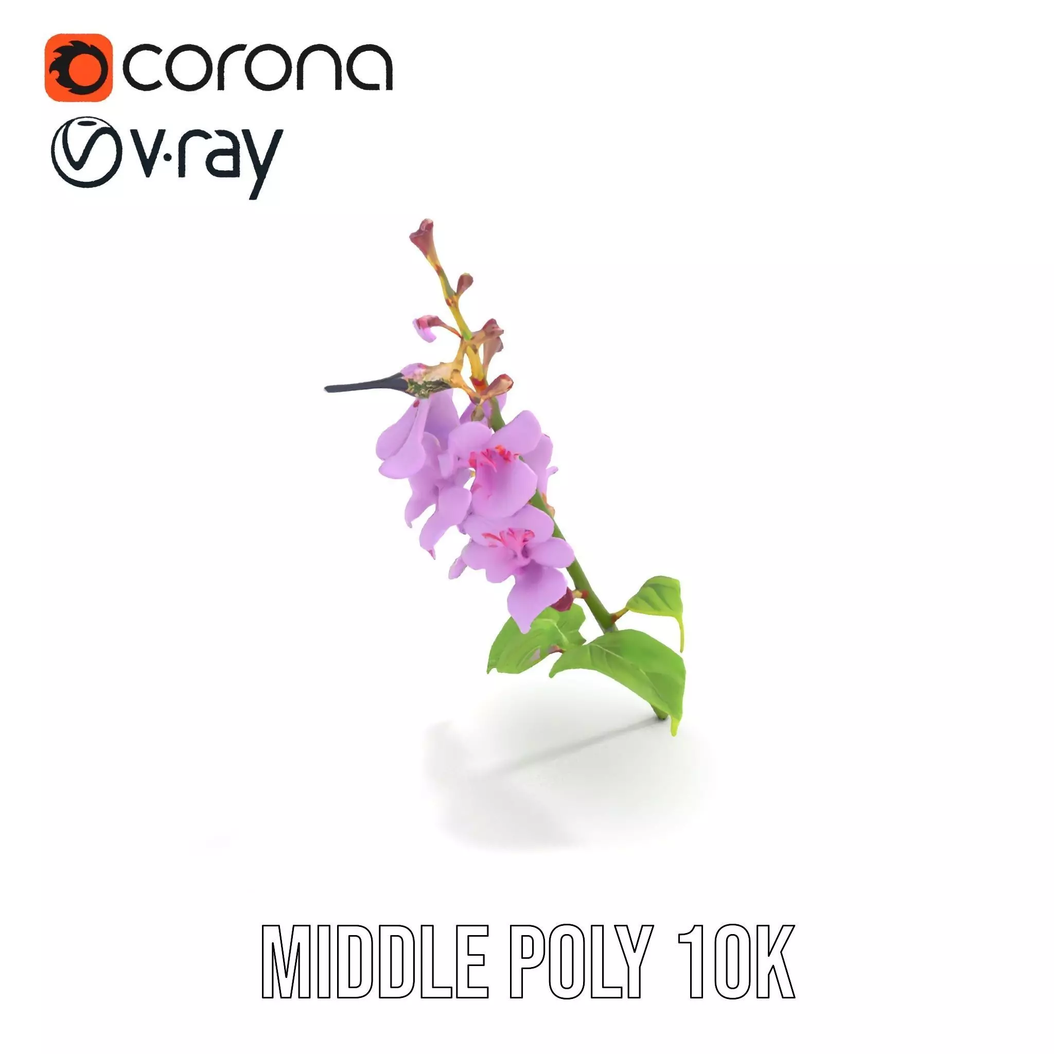 Lavender Floral Stalk model pack Low-poly 3D model_6