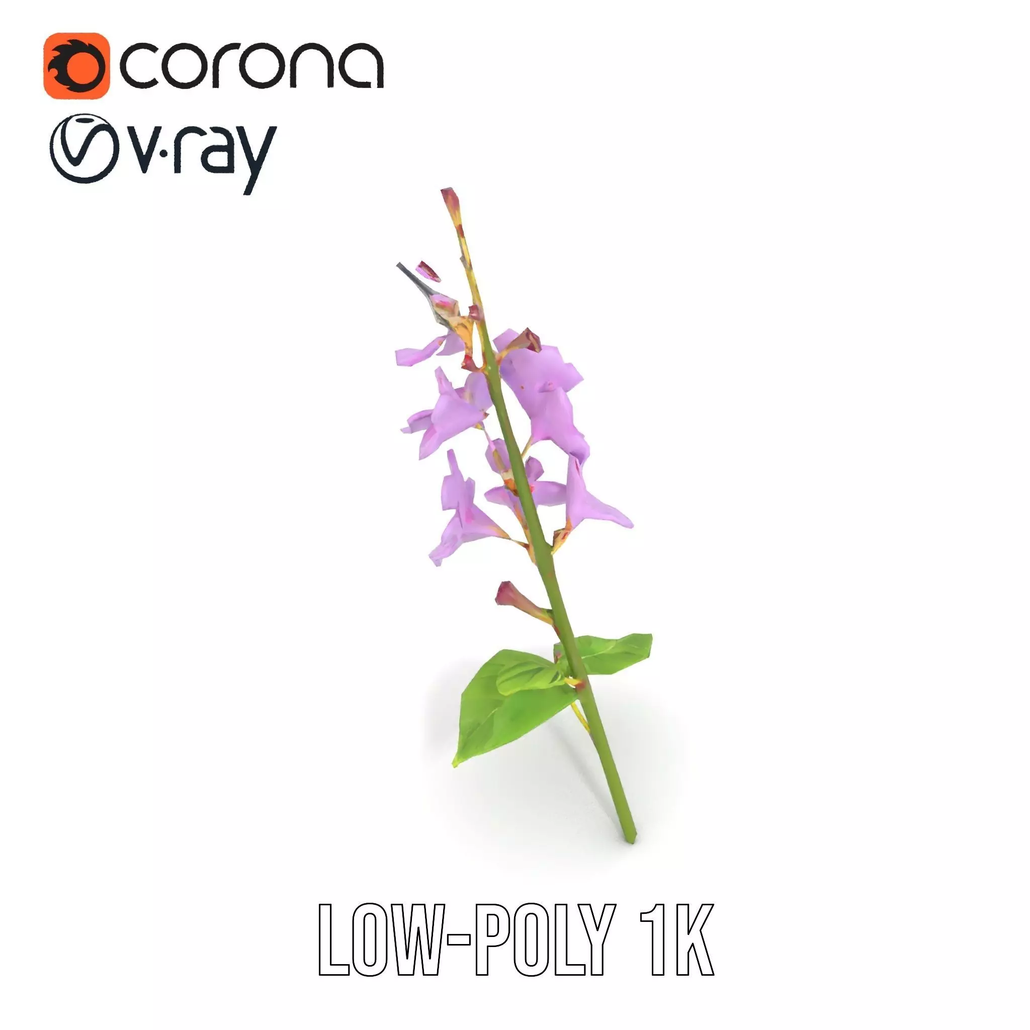 Lavender Floral Stalk model pack Low-poly 3D model_14