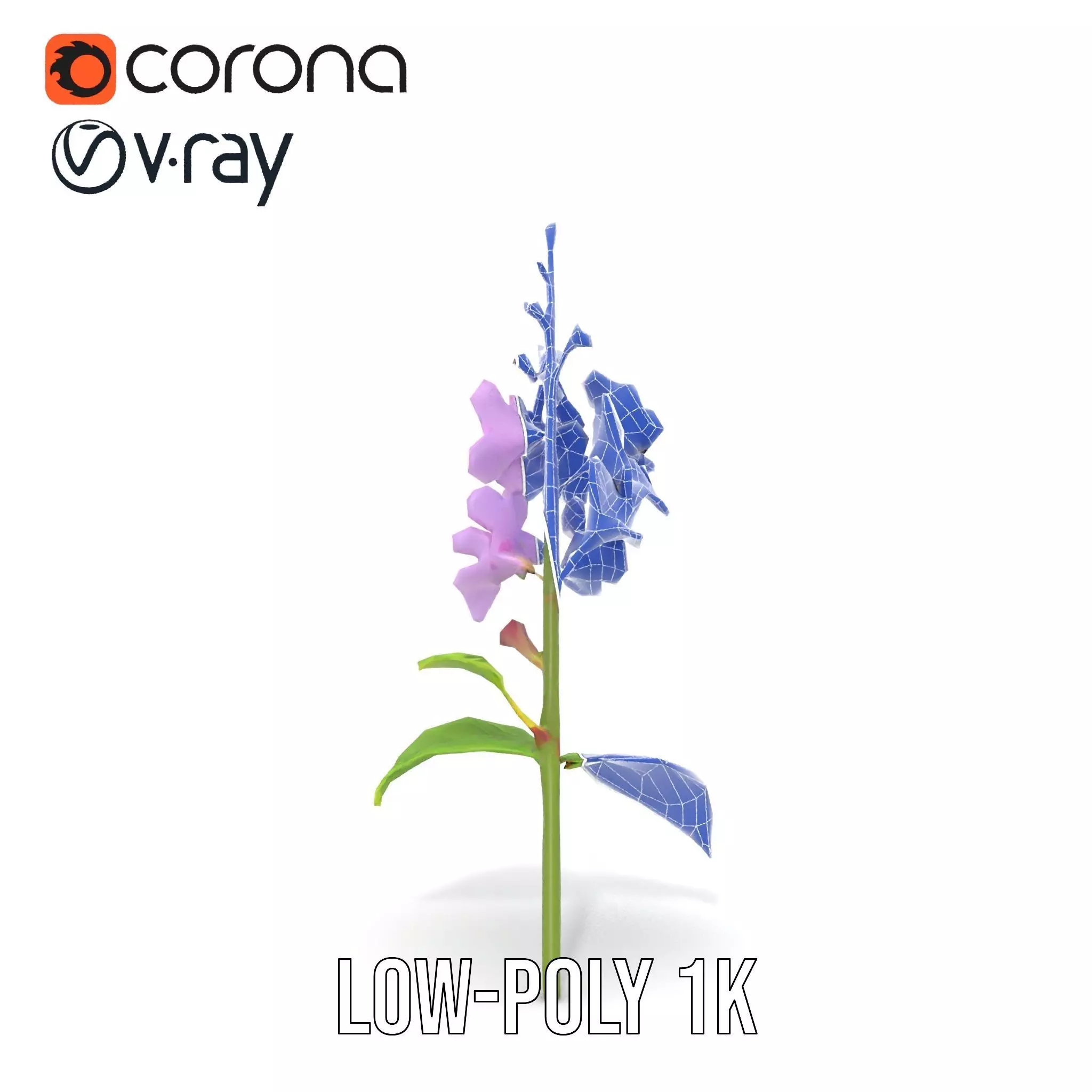 Lavender Floral Stalk model pack Low-poly 3D model_31