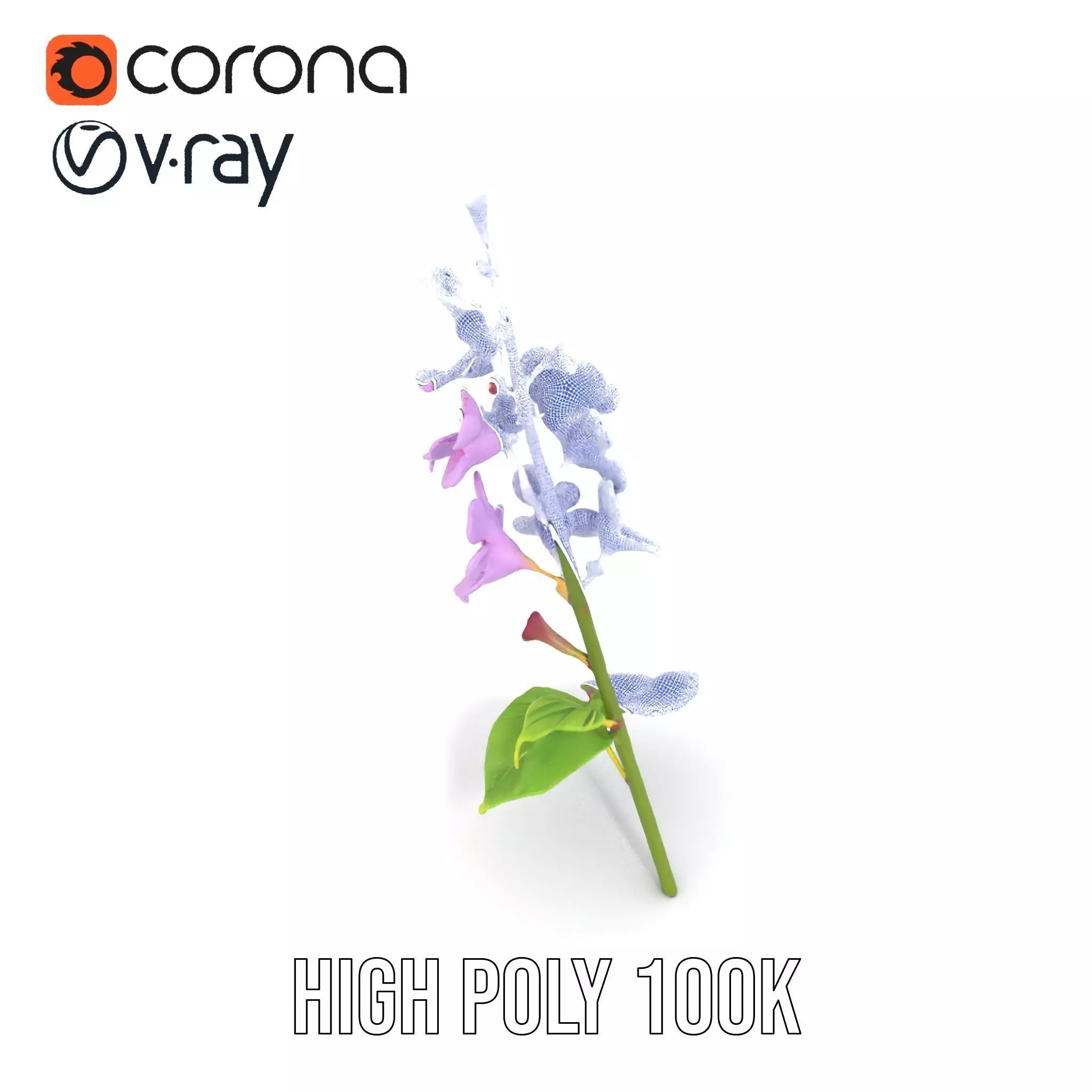 Lavender Floral Stalk model pack Low-poly 3D model_32