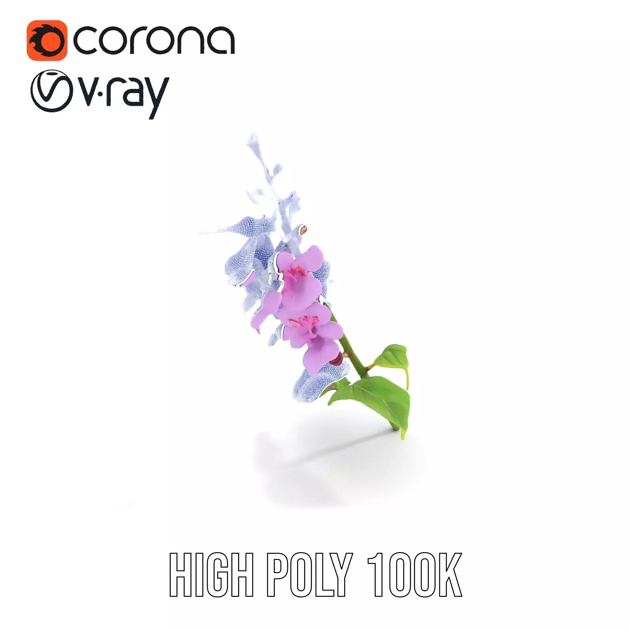 Lavender Floral Stalk model pack Low-poly 3D model_26