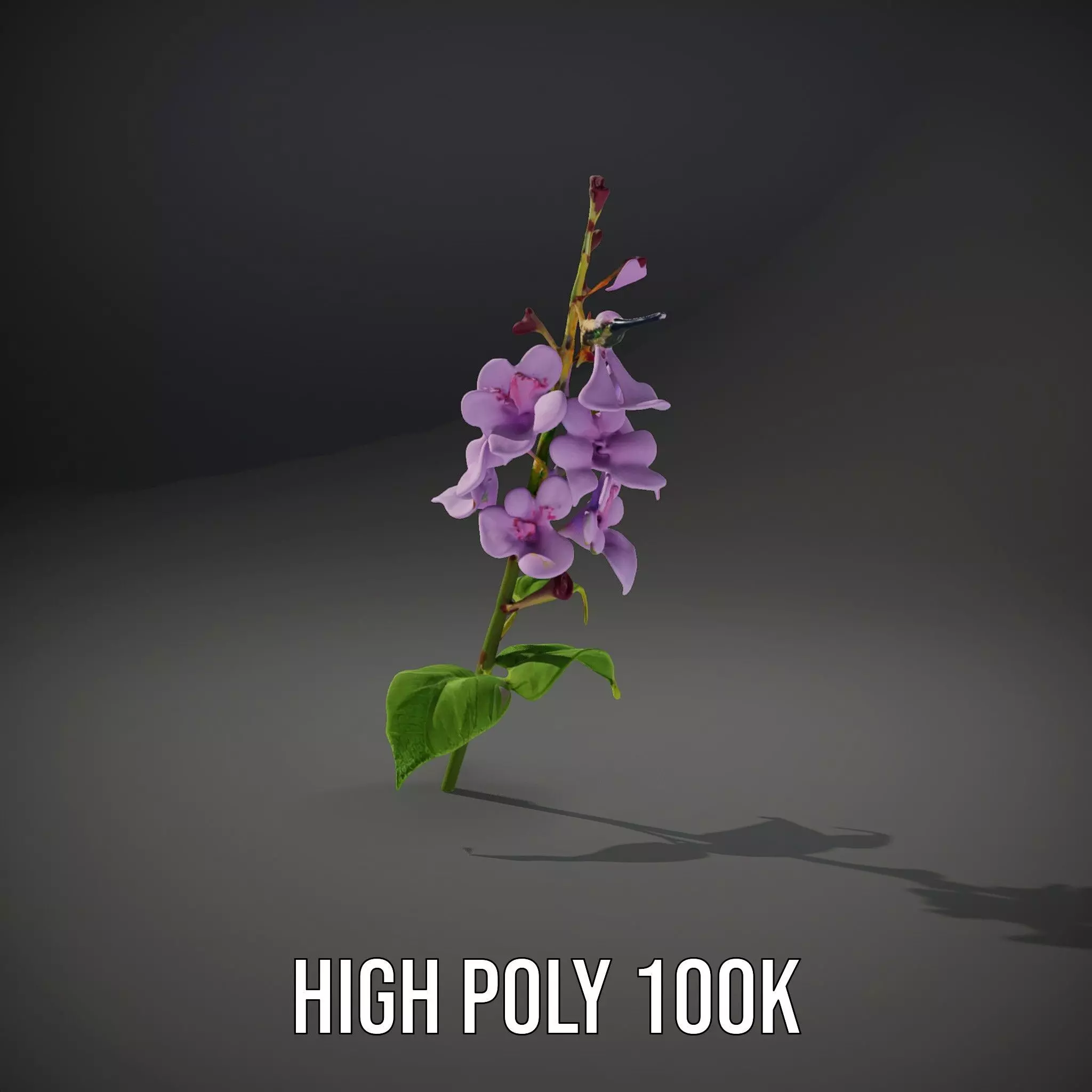 Lavender Floral Stalk model pack Low-poly 3D model_8