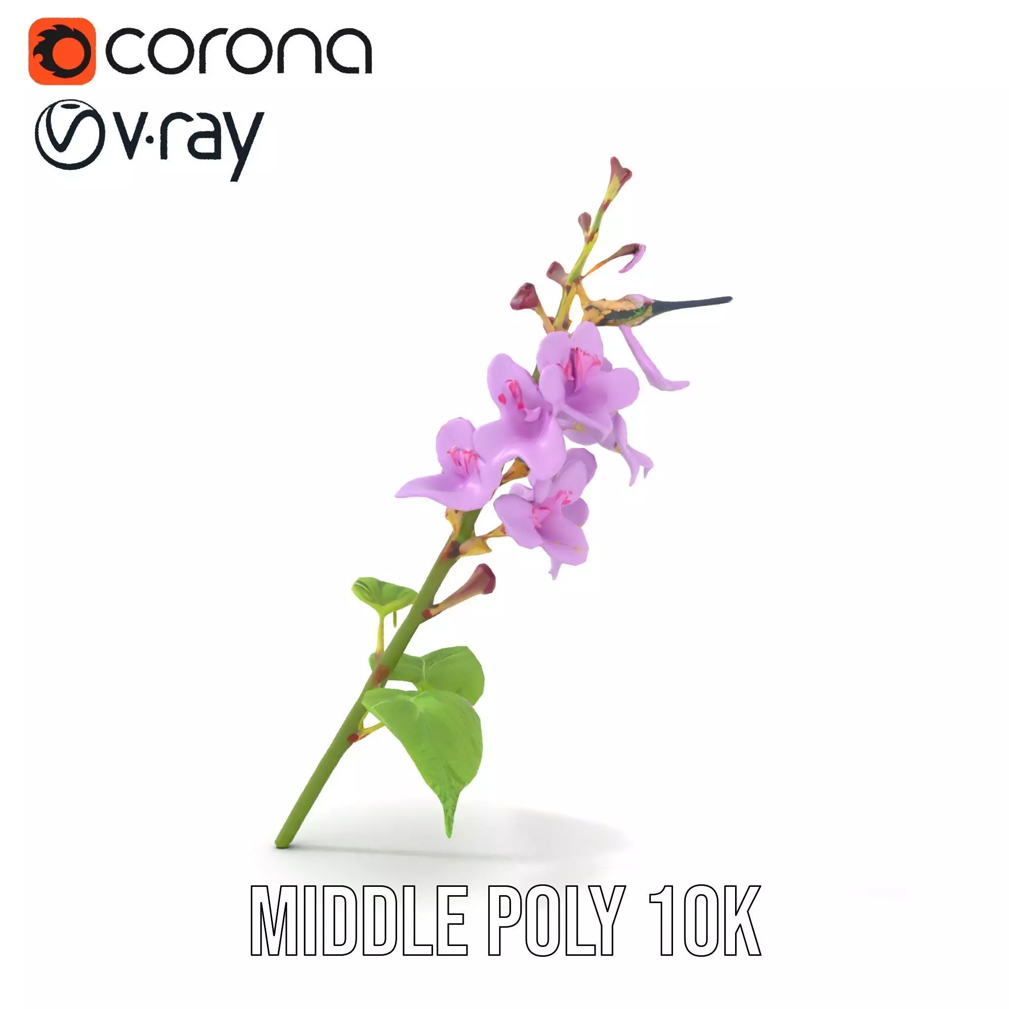 Lavender Floral Stalk model pack Low-poly 3D model_11