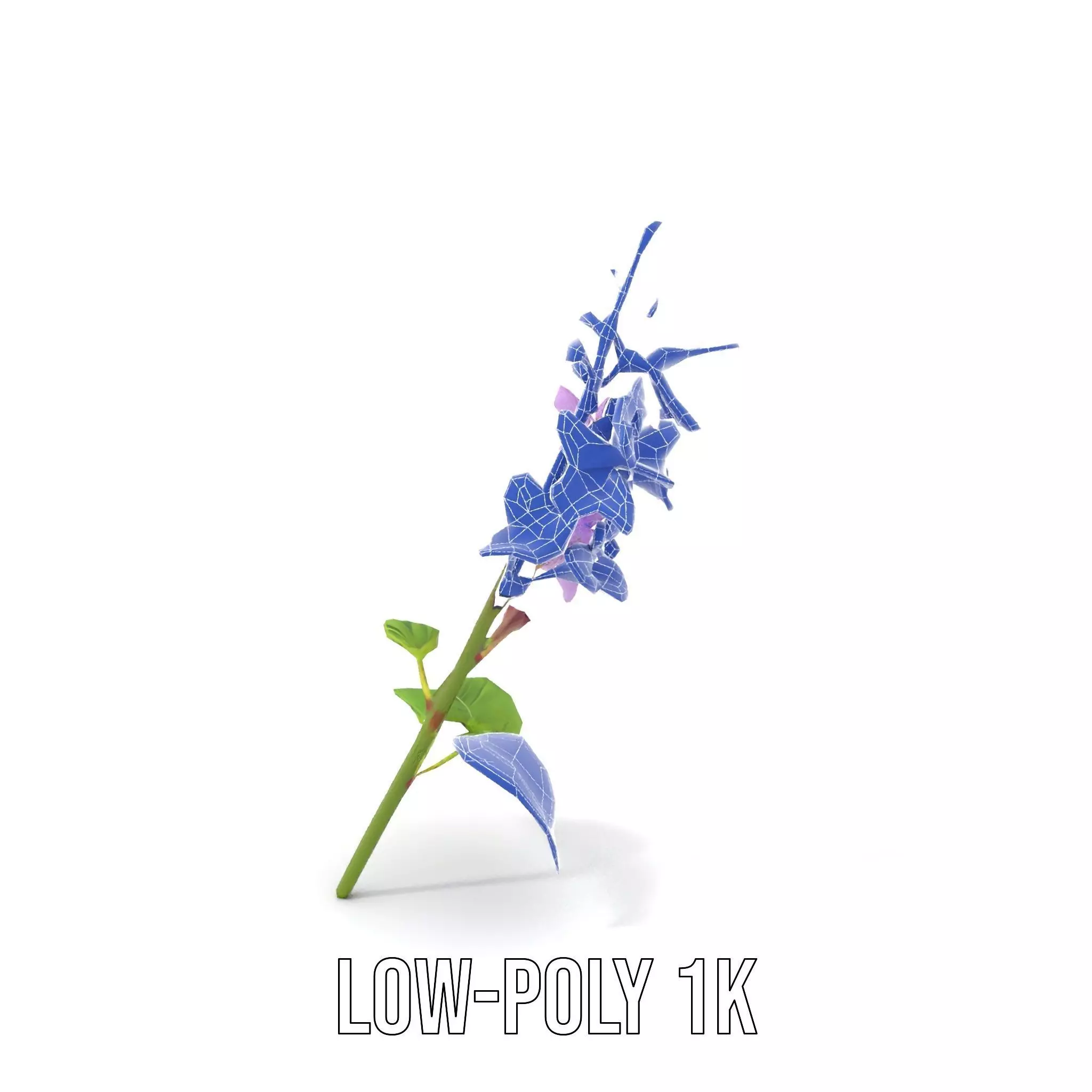 Lavender Floral Stalk model pack Low-poly 3D model_19