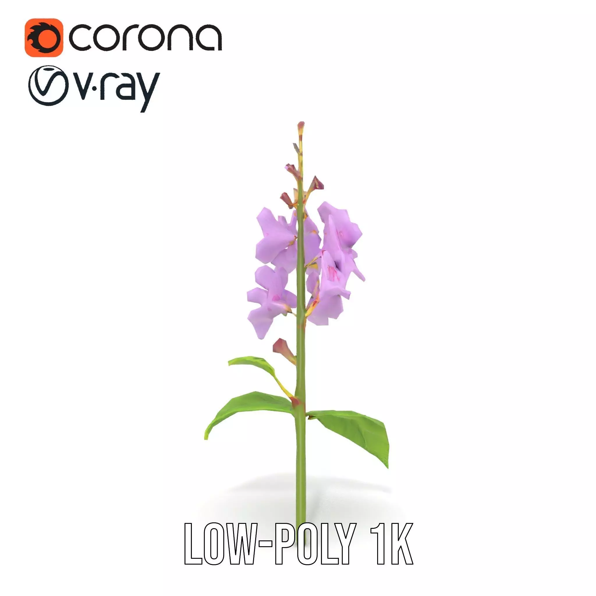 Lavender Floral Stalk model pack Low-poly 3D model_17