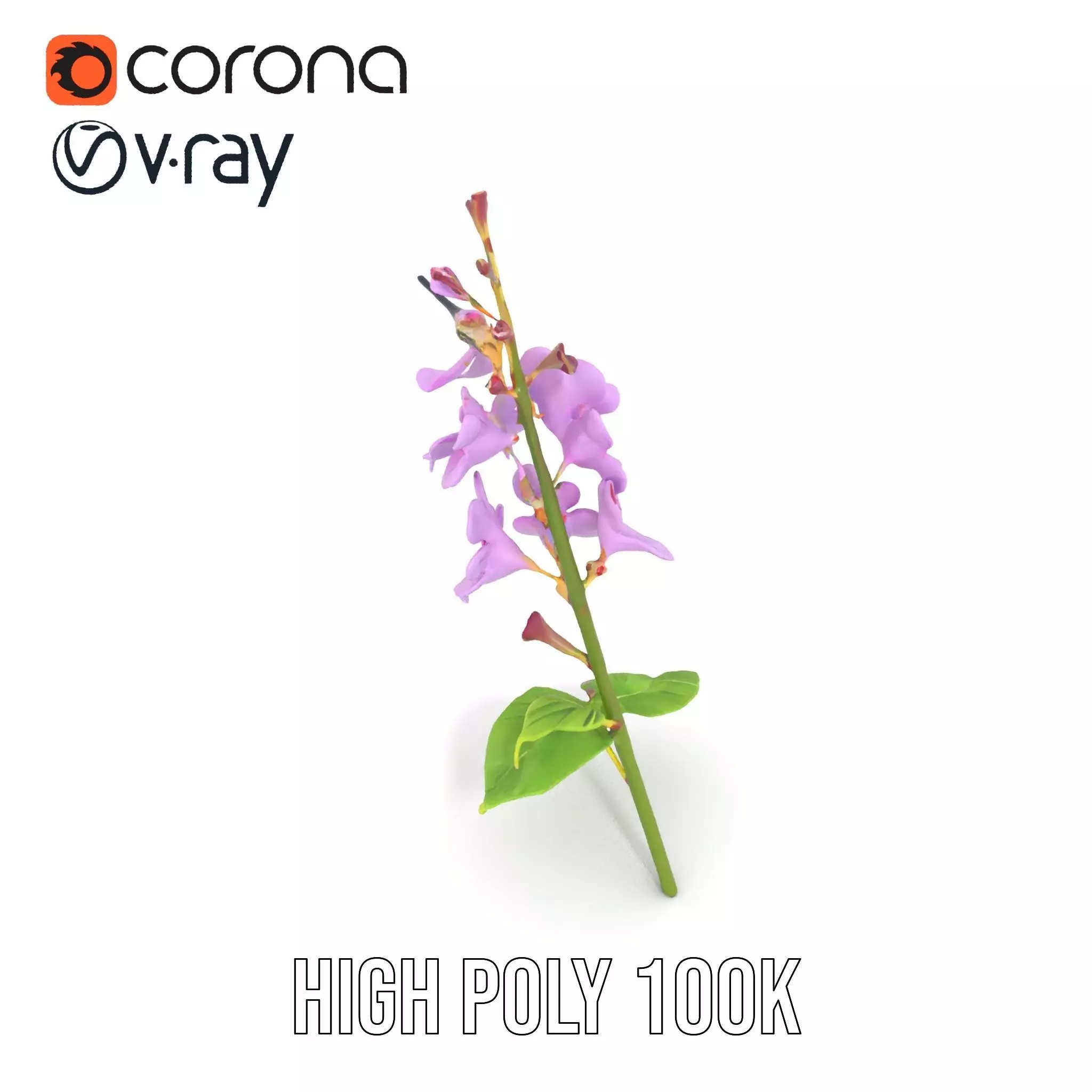 Lavender Floral Stalk model pack Low-poly 3D model_15
