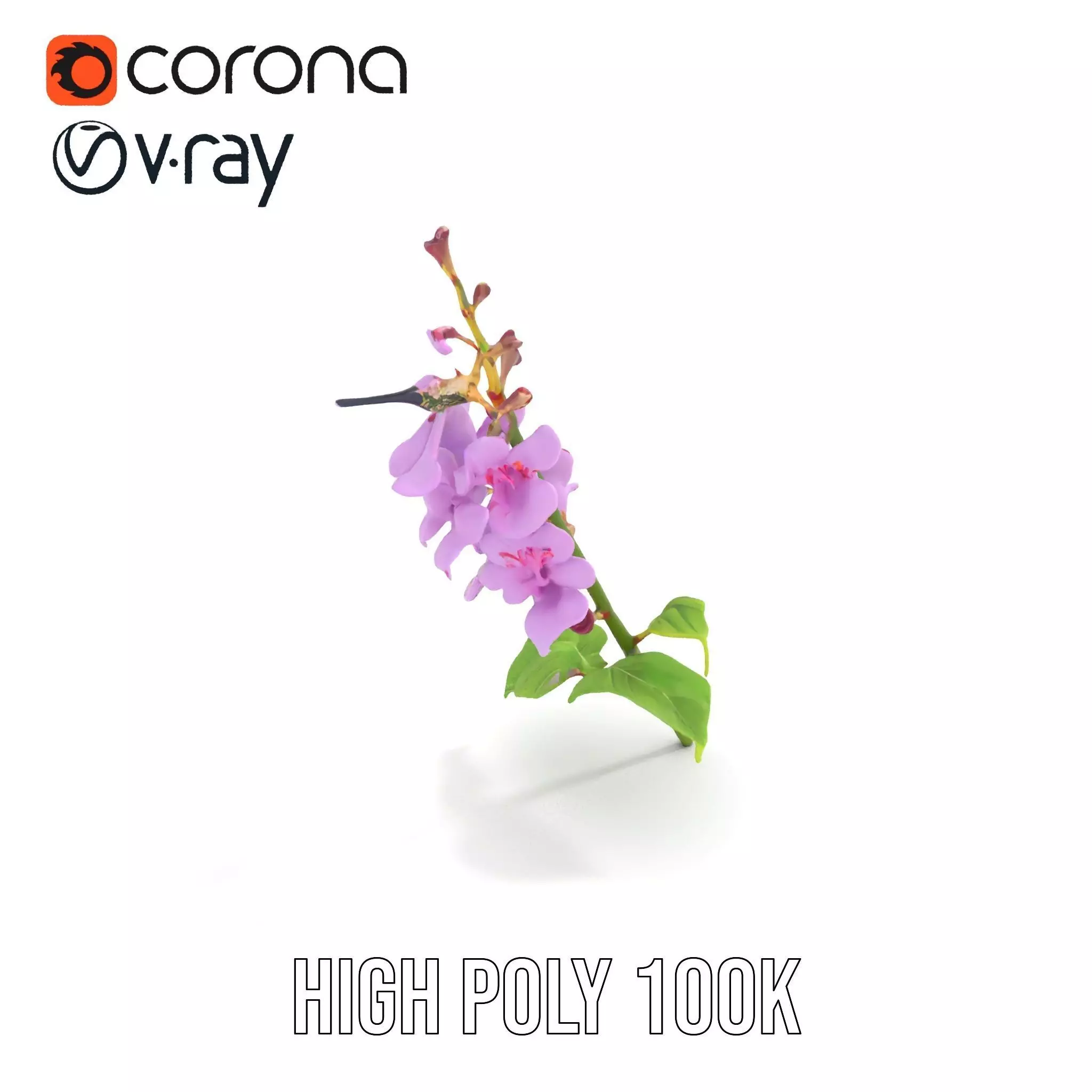 Lavender Floral Stalk model pack Low-poly 3D model_20