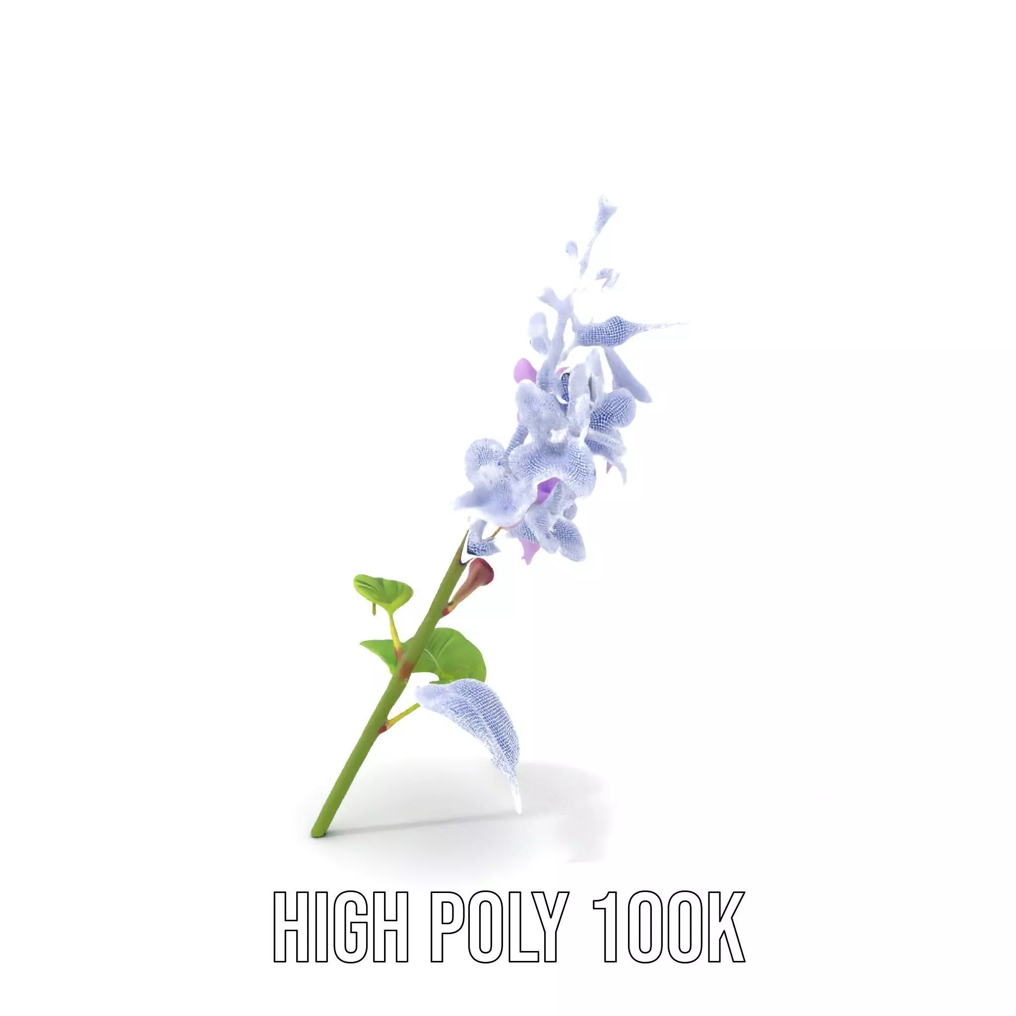 Lavender Floral Stalk model pack Low-poly 3D model_4
