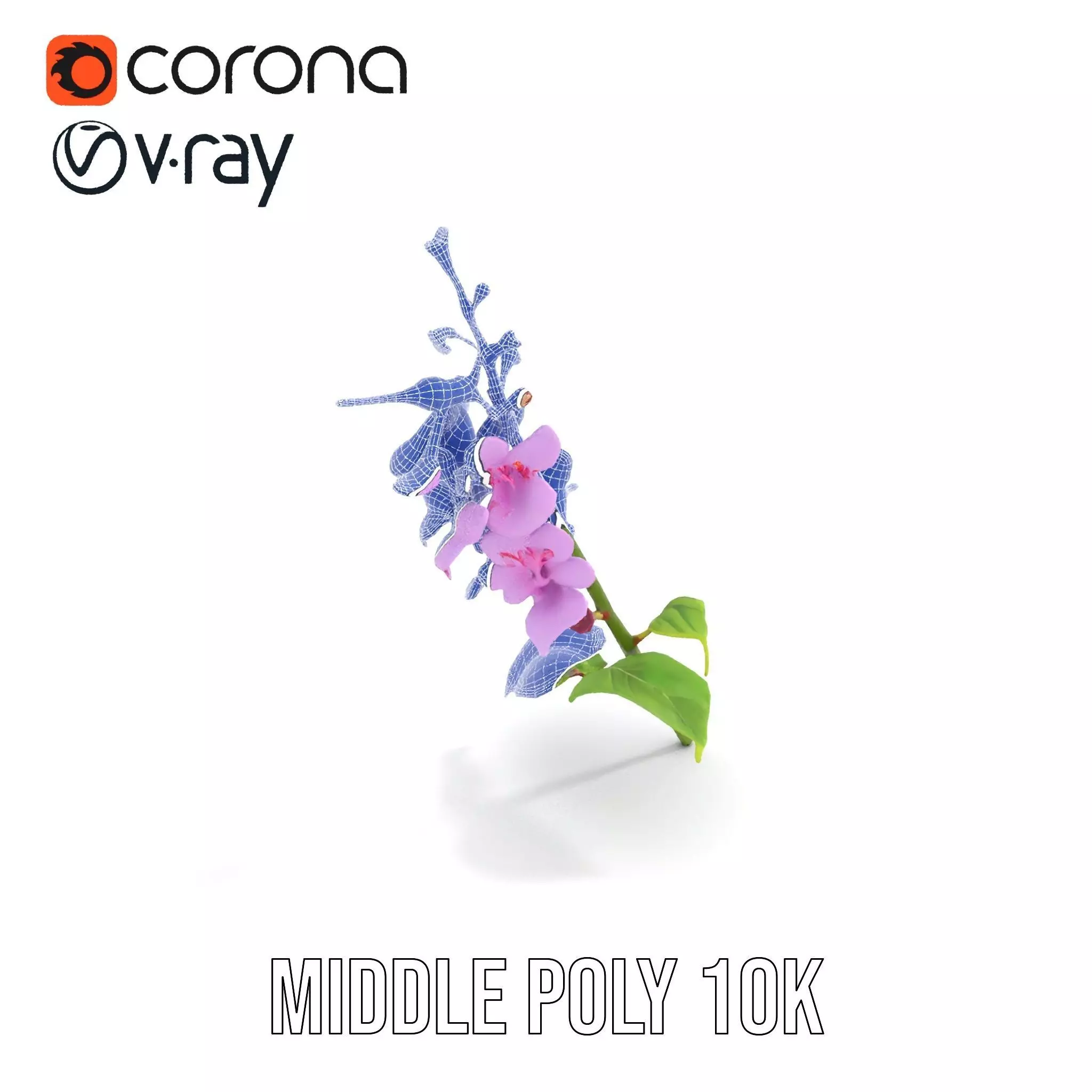 Lavender Floral Stalk model pack Low-poly 3D model_13