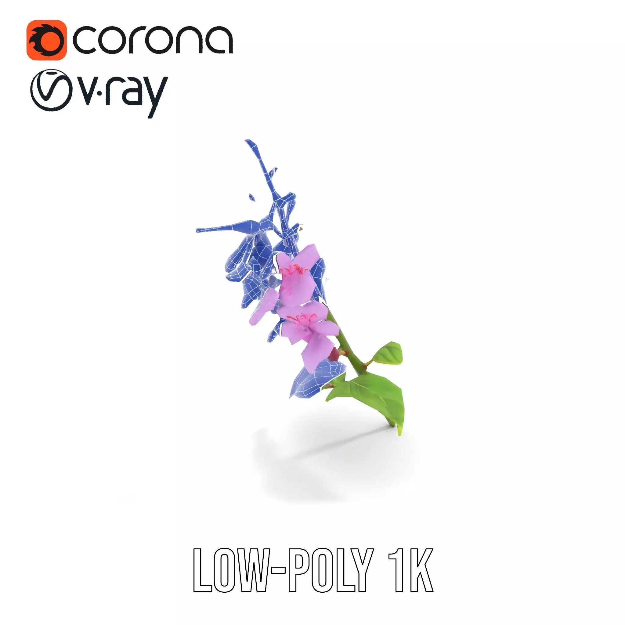 Lavender Floral Stalk model pack Low-poly 3D model_28