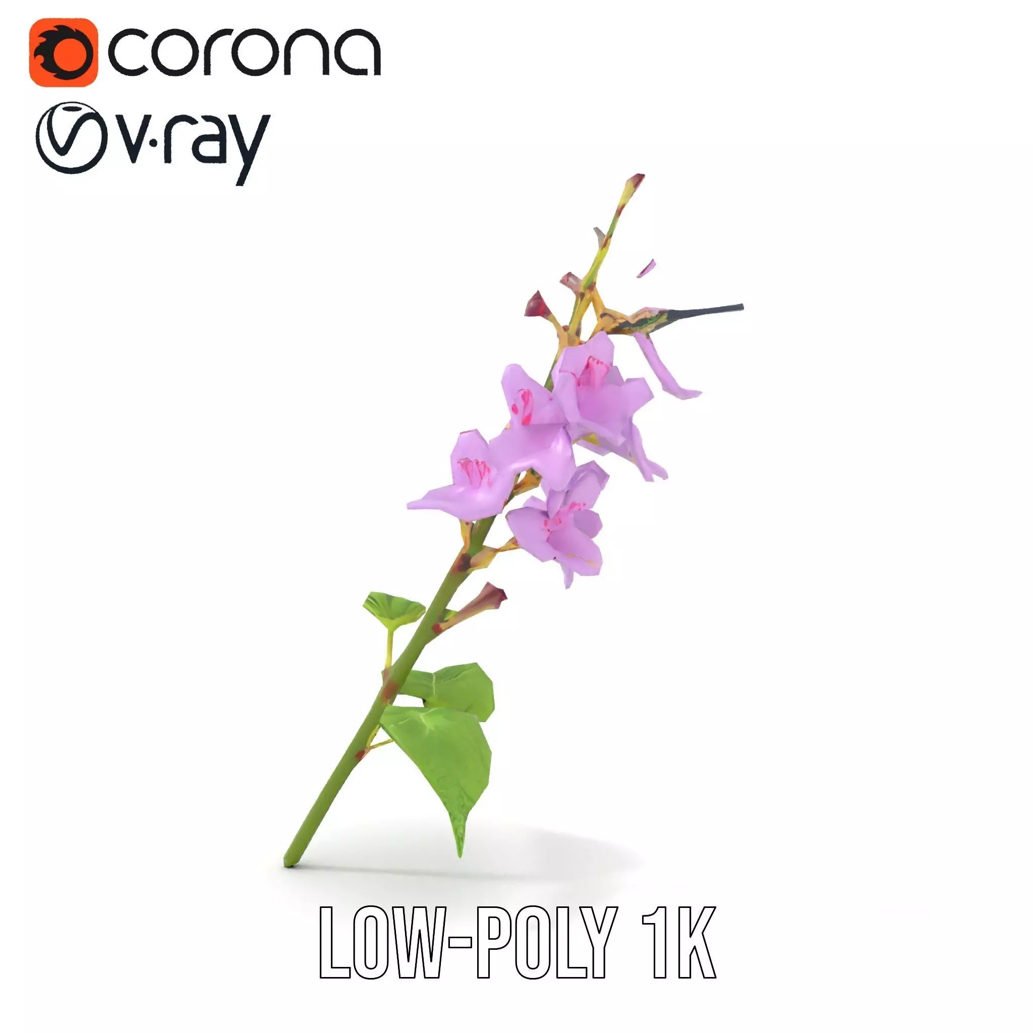 Lavender Floral Stalk model pack Low-poly 3D model_9