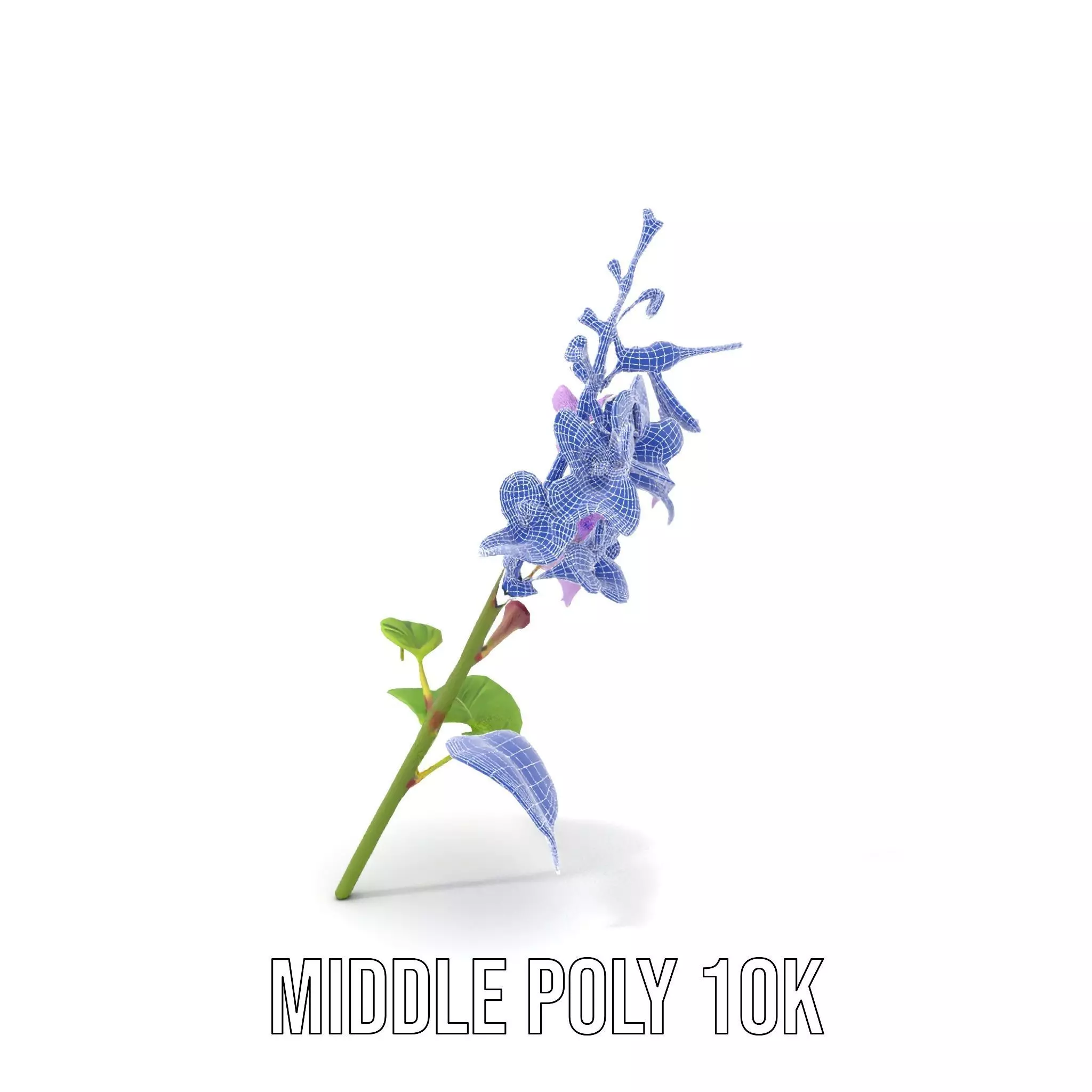 Lavender Floral Stalk model pack Low-poly 3D model_30