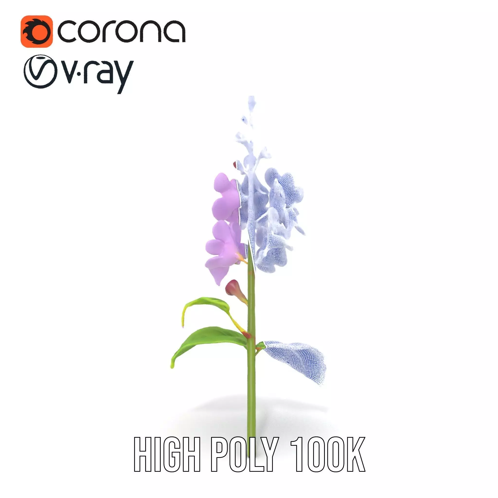 Lavender Floral Stalk model pack Low-poly 3D model_33