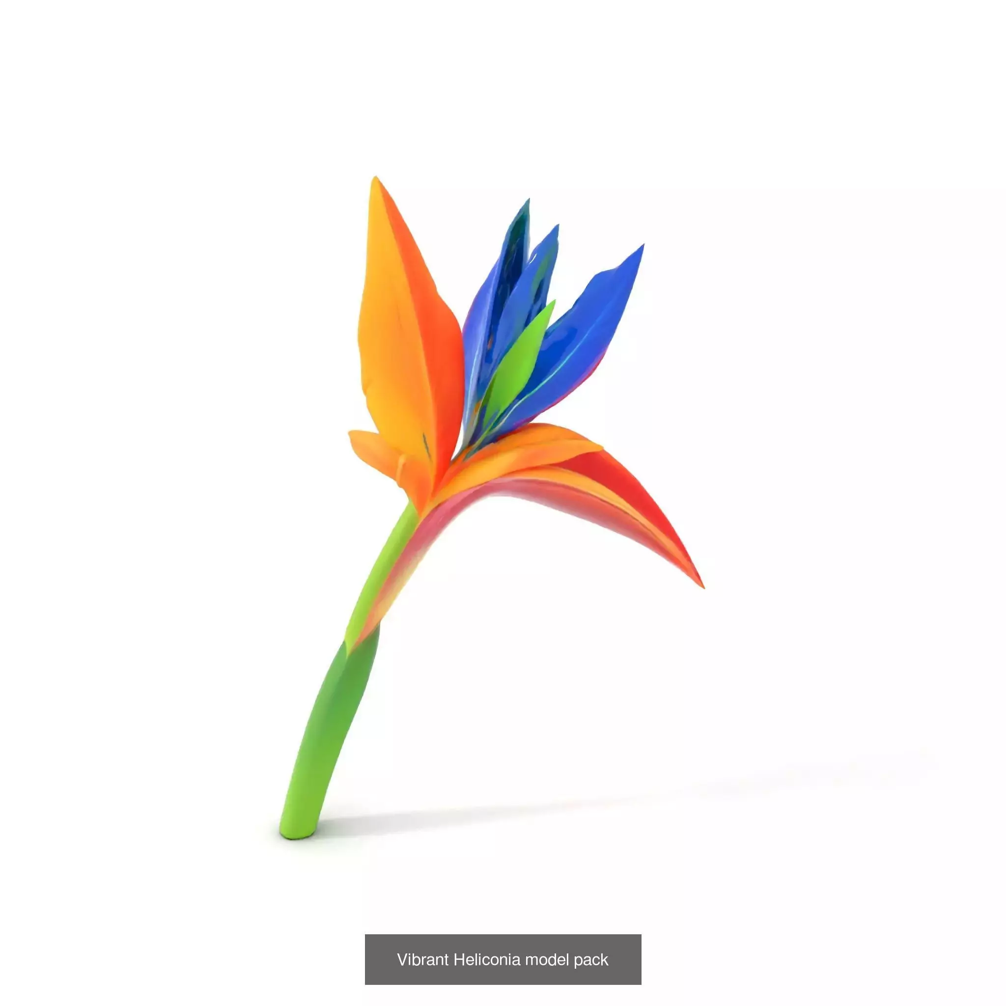 Whimsical Creature Plant Models 3D Model Collection_21