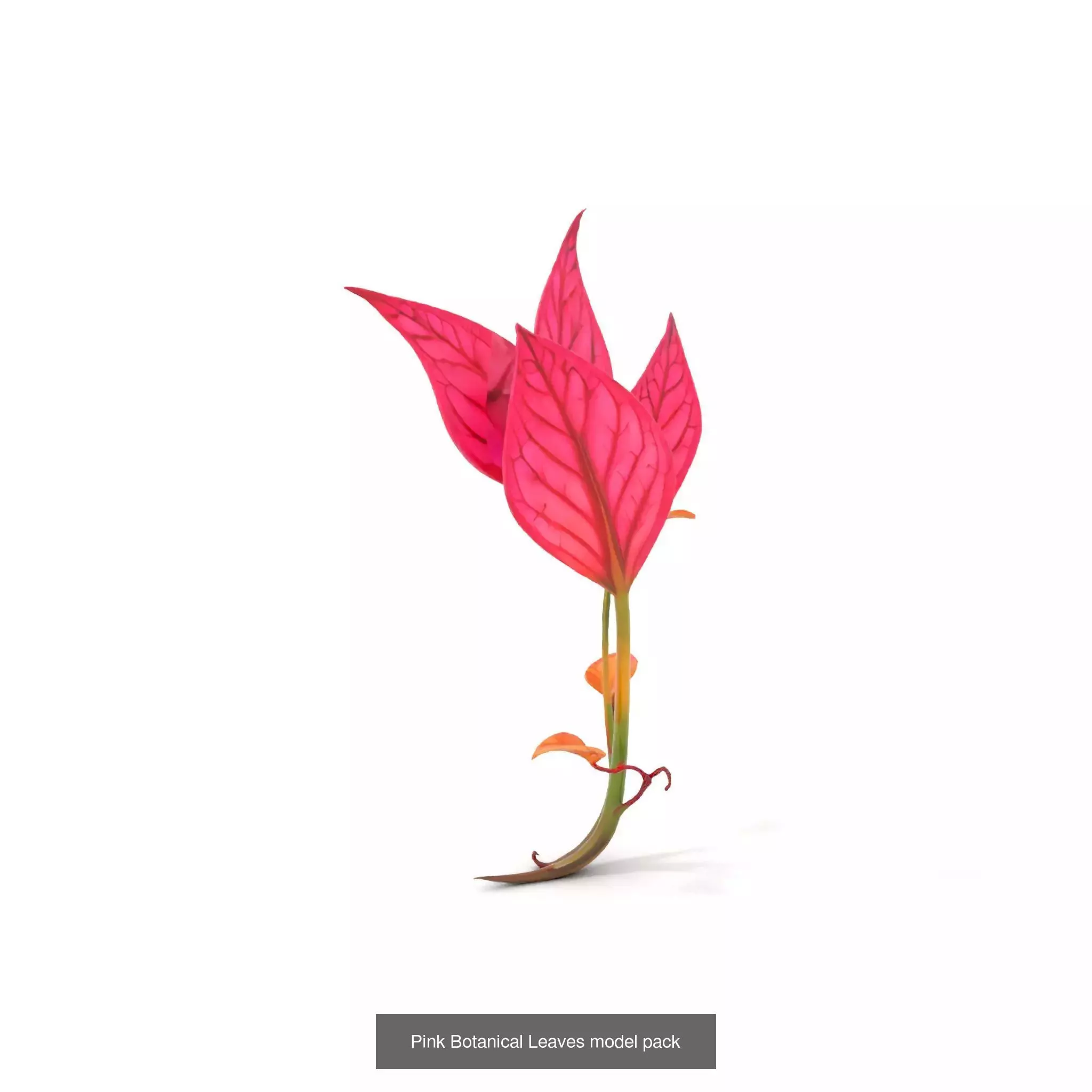 Whimsical Creature Plant Models 3D Model Collection_19