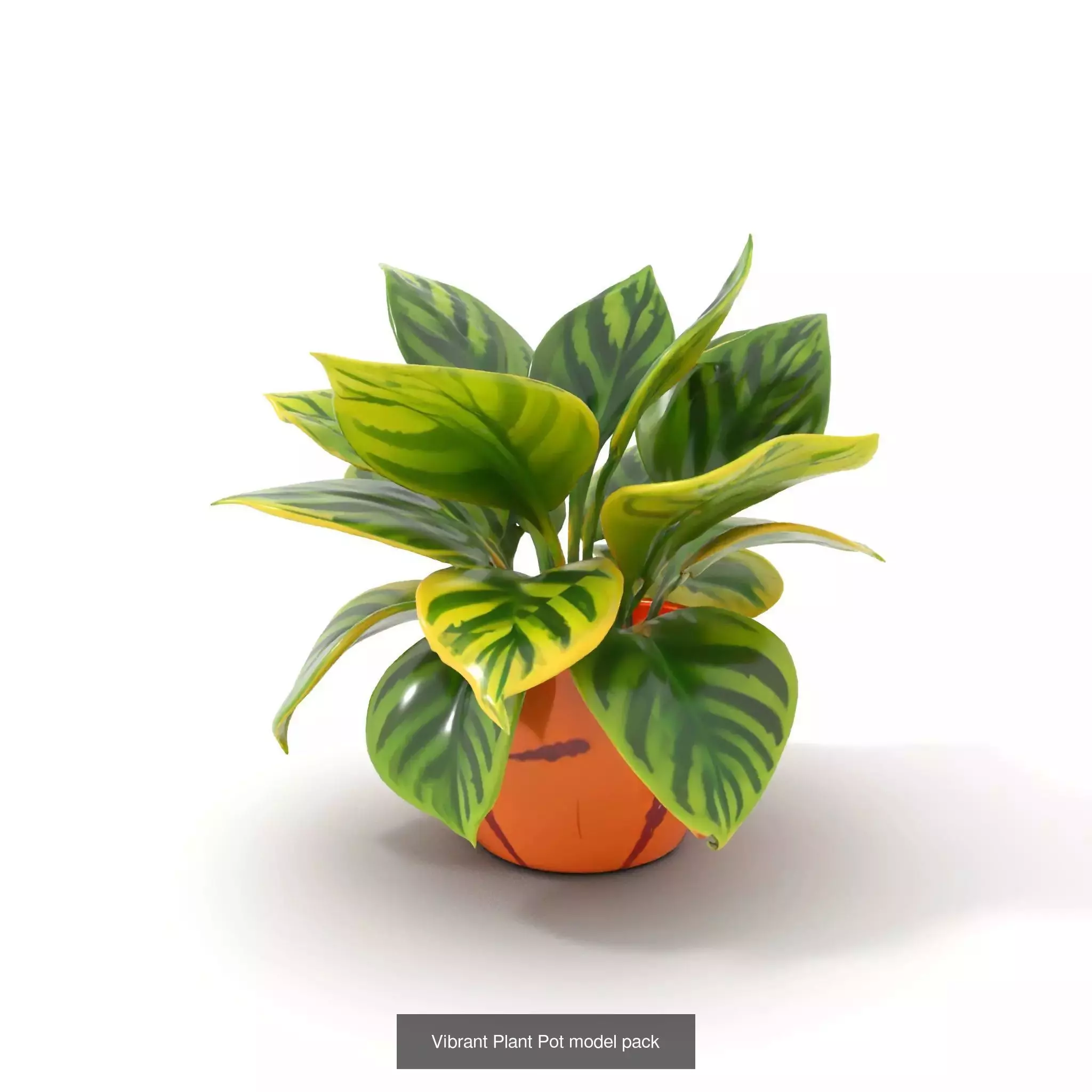 Whimsical Creature Plant Models 3D Model Collection_20