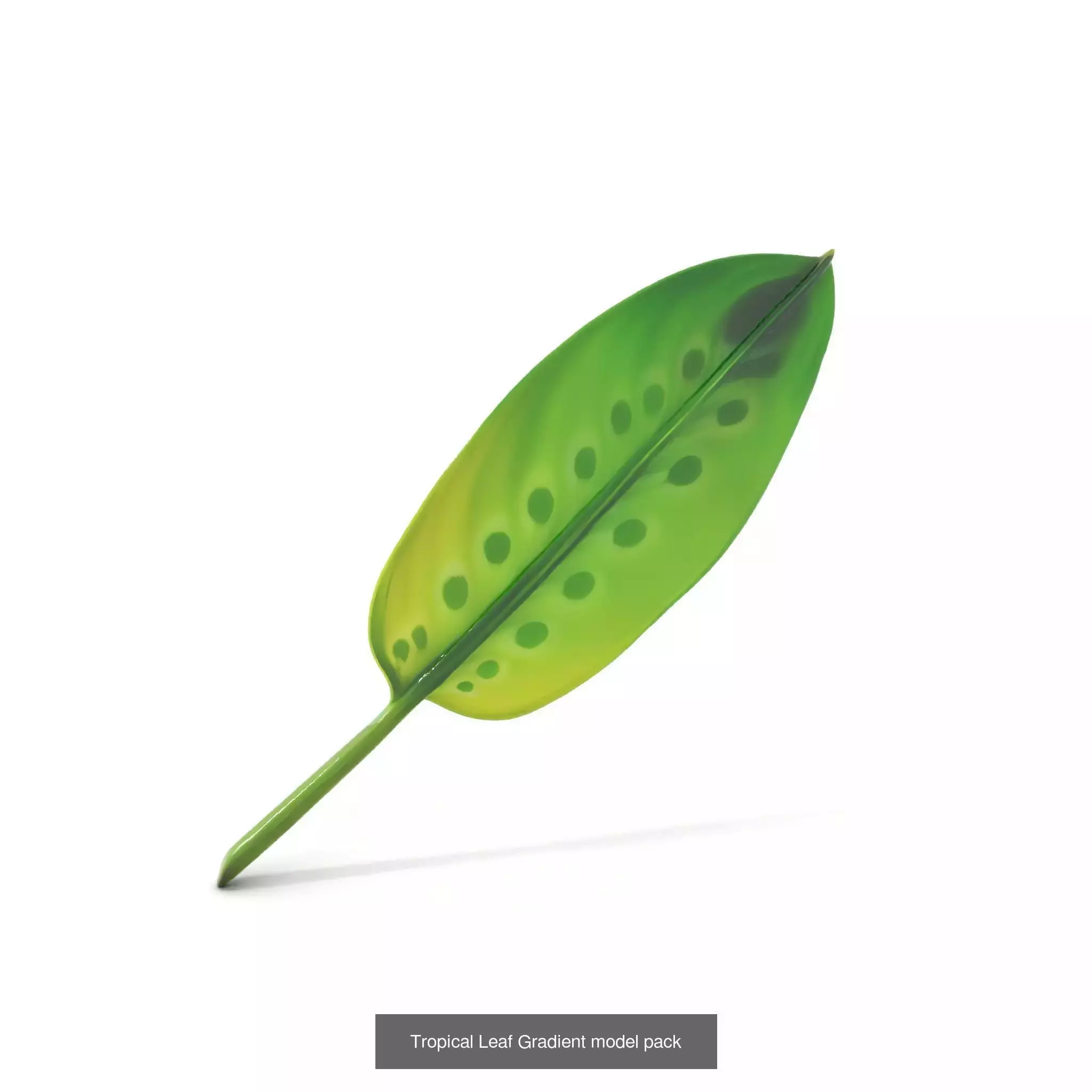 Whimsical Creature Plant Models 3D Model Collection_18