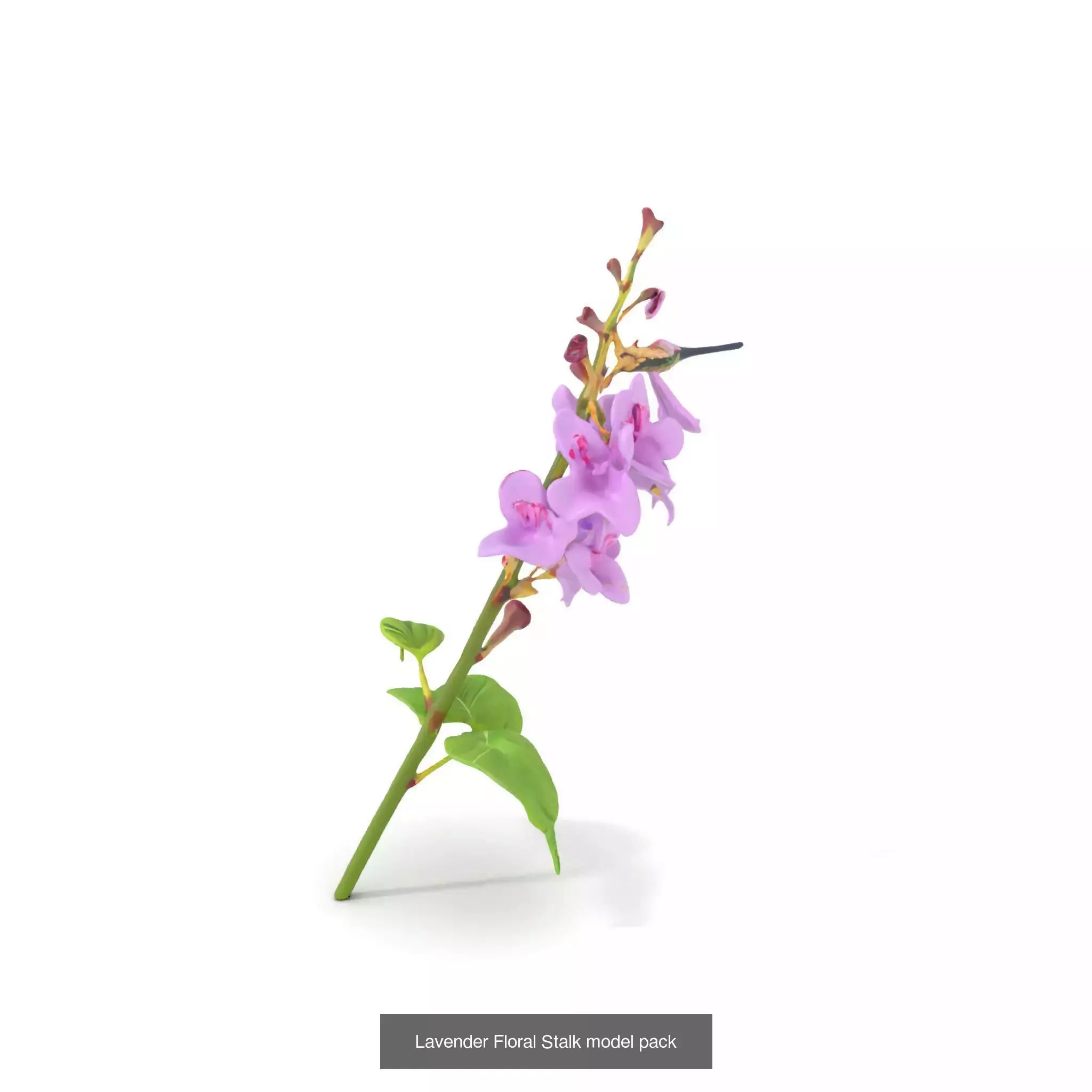 Whimsical Creature Plant Models 3D Model Collection_22