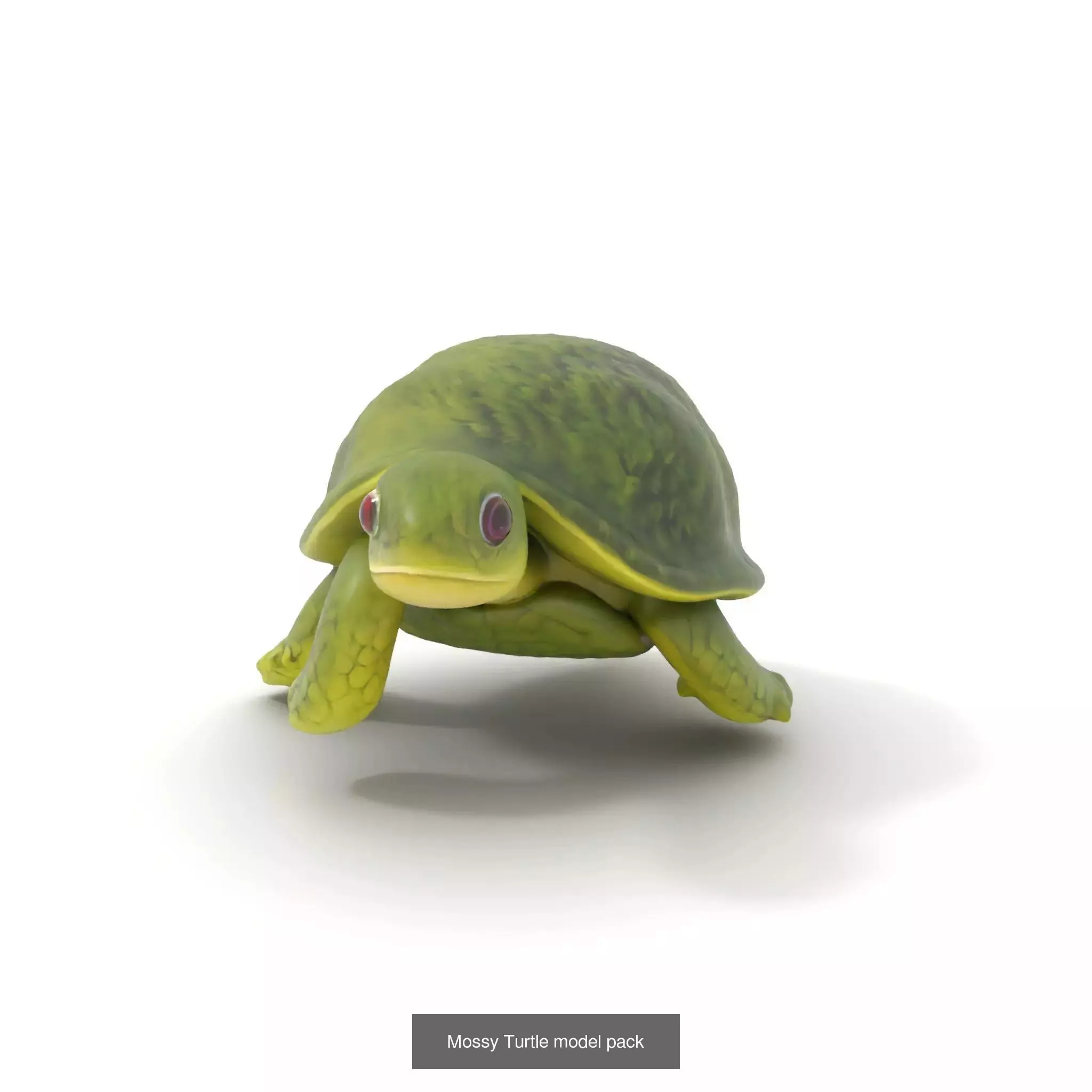 Whimsical Creature Plant Models 3D Model Collection_14