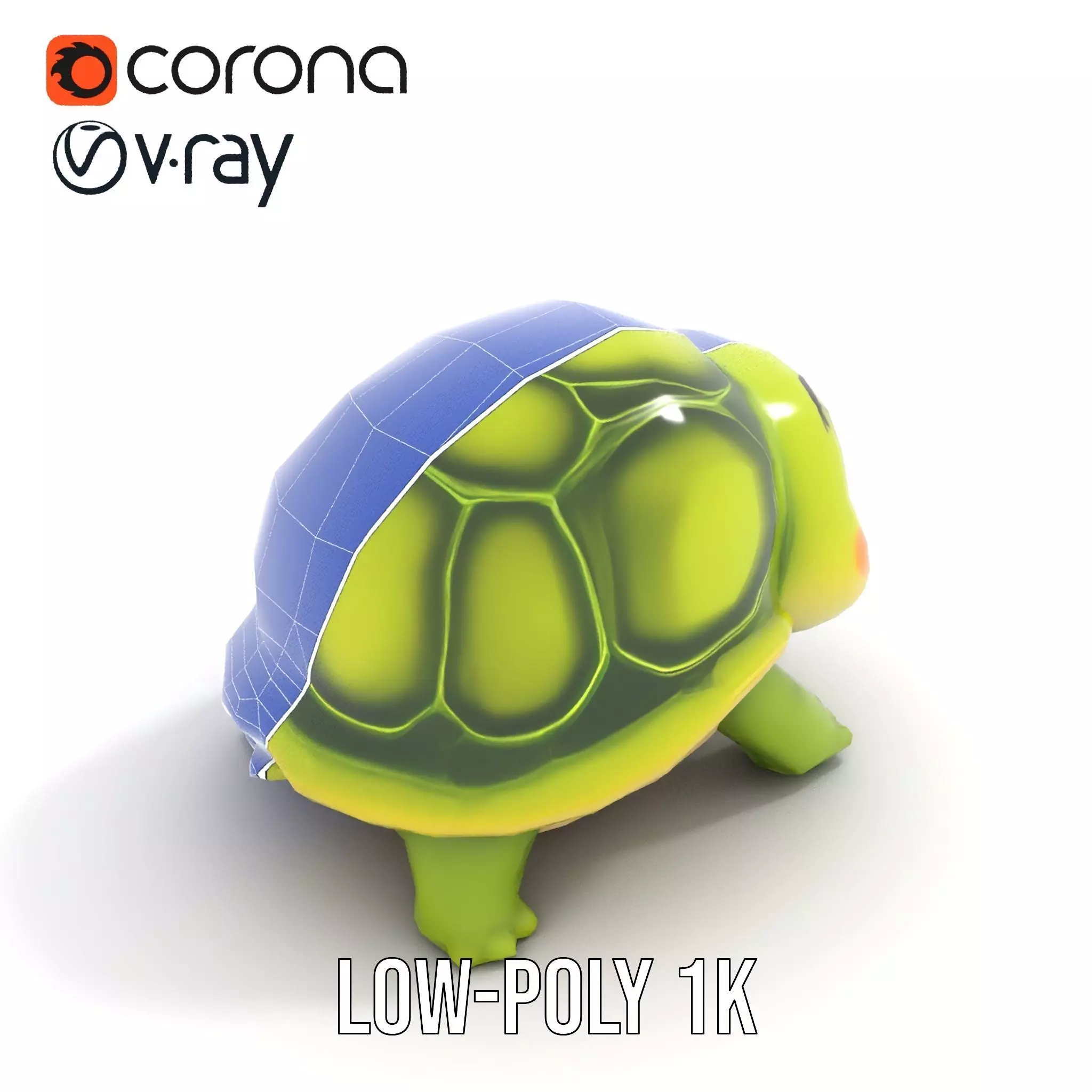 Cheerful Green Turtle model pack Low-poly 3D model_31