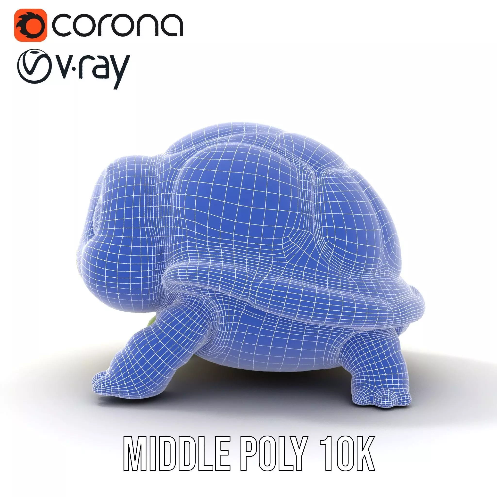 Cheerful Green Turtle model pack Low-poly 3D model_30