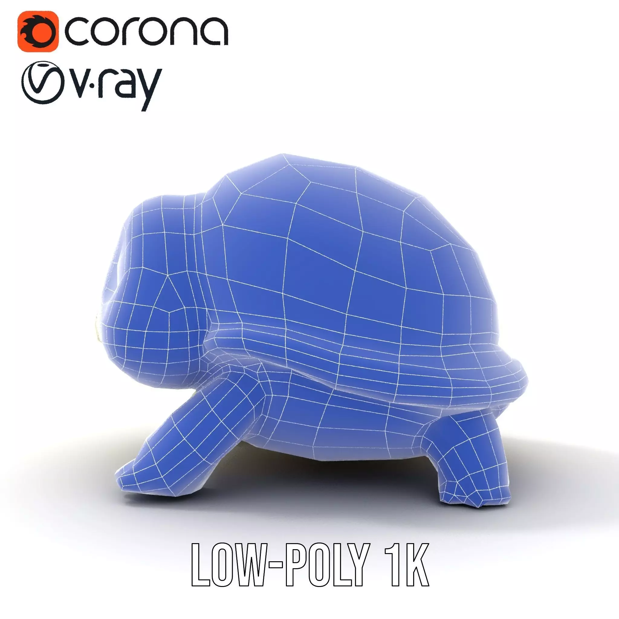 Cheerful Green Turtle model pack Low-poly 3D model_28