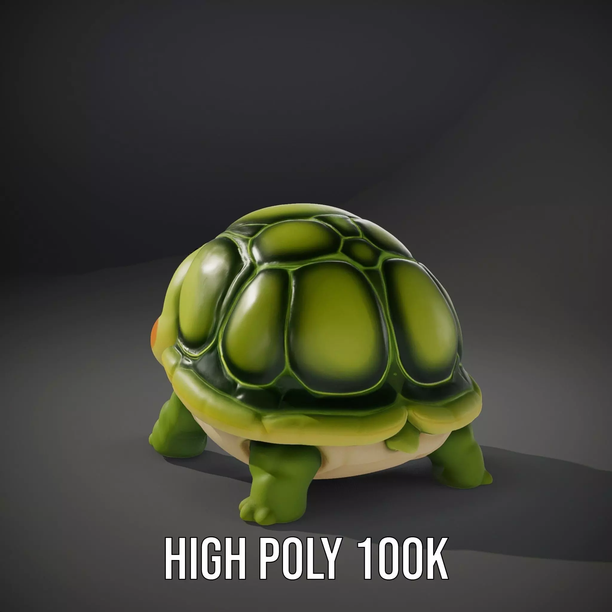 Cheerful Green Turtle model pack Low-poly 3D model_10