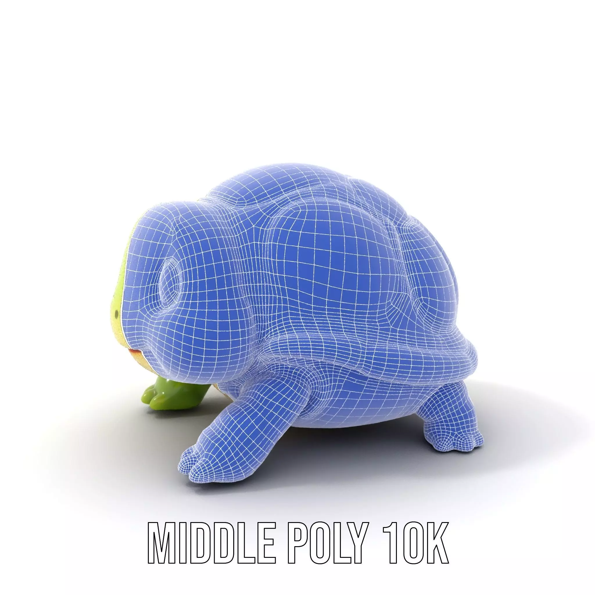 Cheerful Green Turtle model pack Low-poly 3D model_24