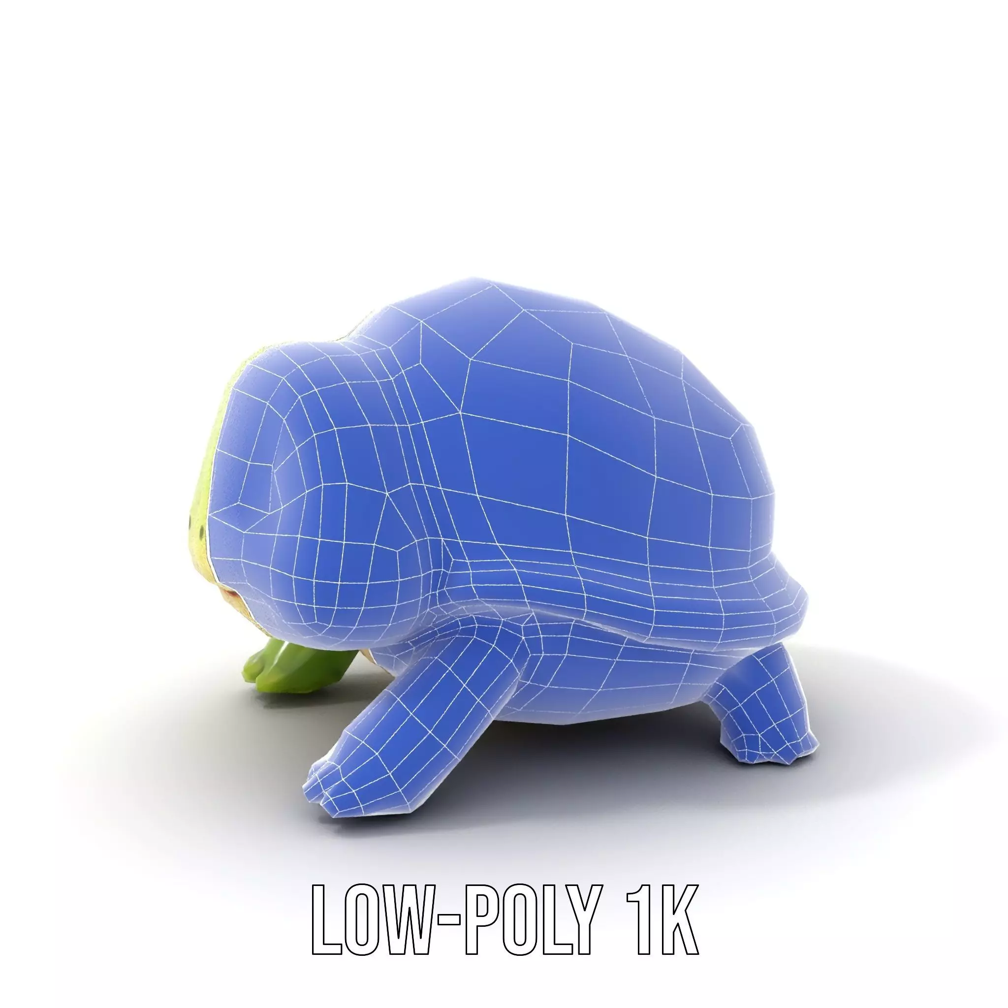 Cheerful Green Turtle model pack Low-poly 3D model_25