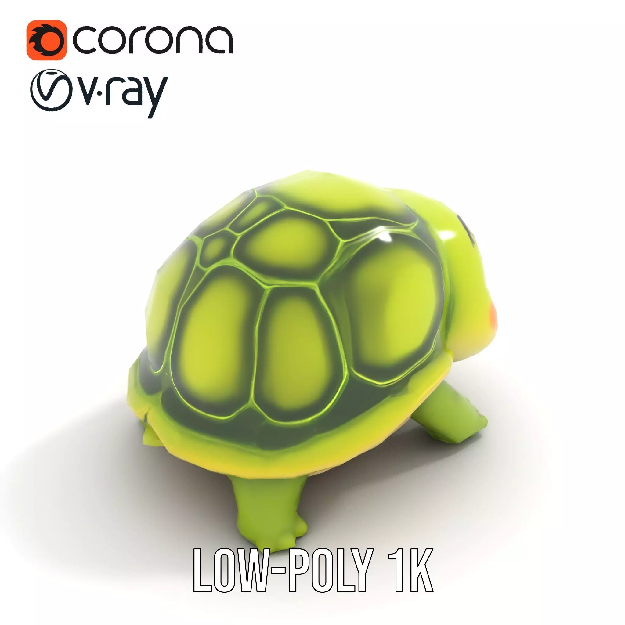 Cheerful Green Turtle model pack Low-poly 3D model_12