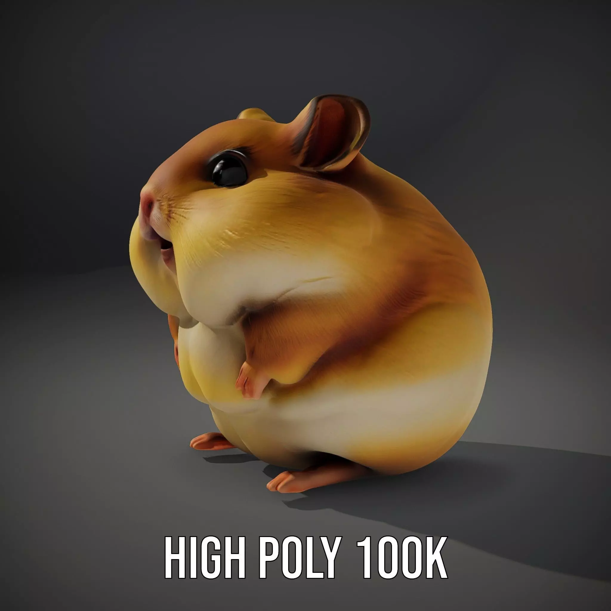 Golden Hamster model pack Low-poly 3D model_10