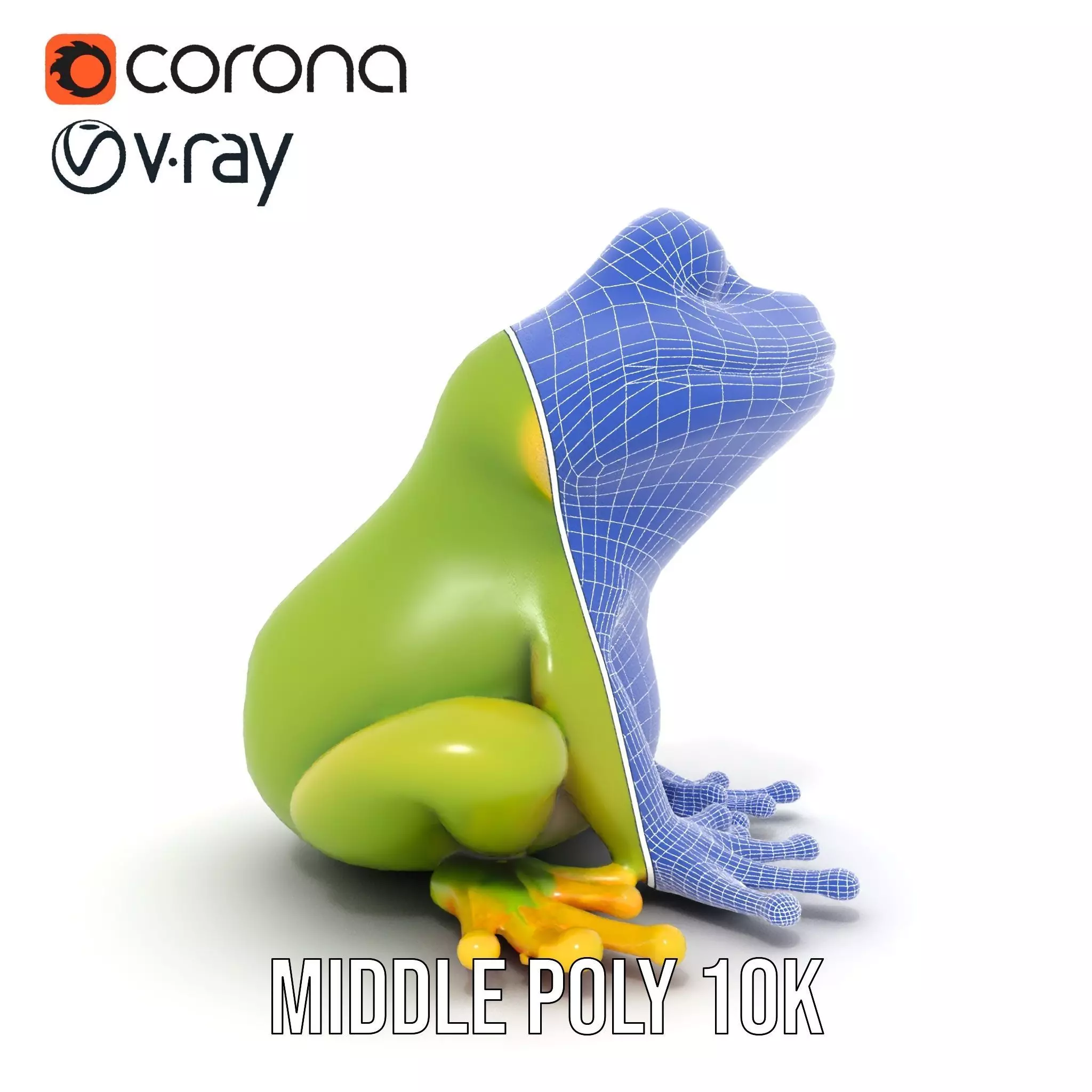 Vibrant Frog Character model pack Low-poly 3D model_26
