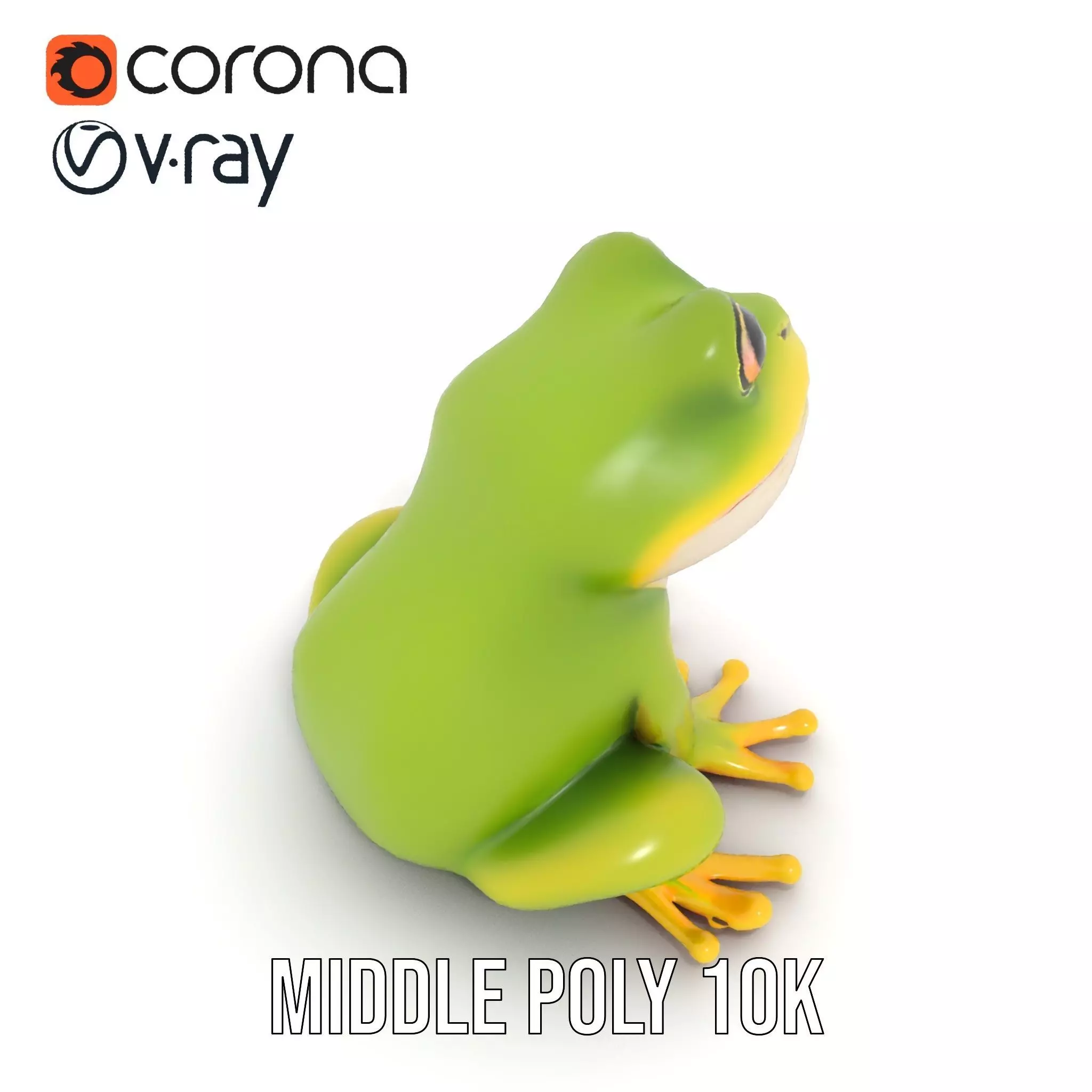 Vibrant Frog Character model pack Low-poly 3D model_11
