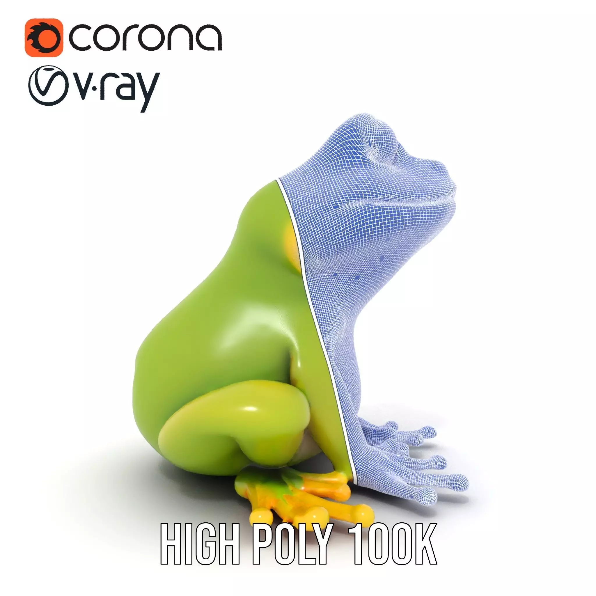 Vibrant Frog Character model pack Low-poly 3D model_33