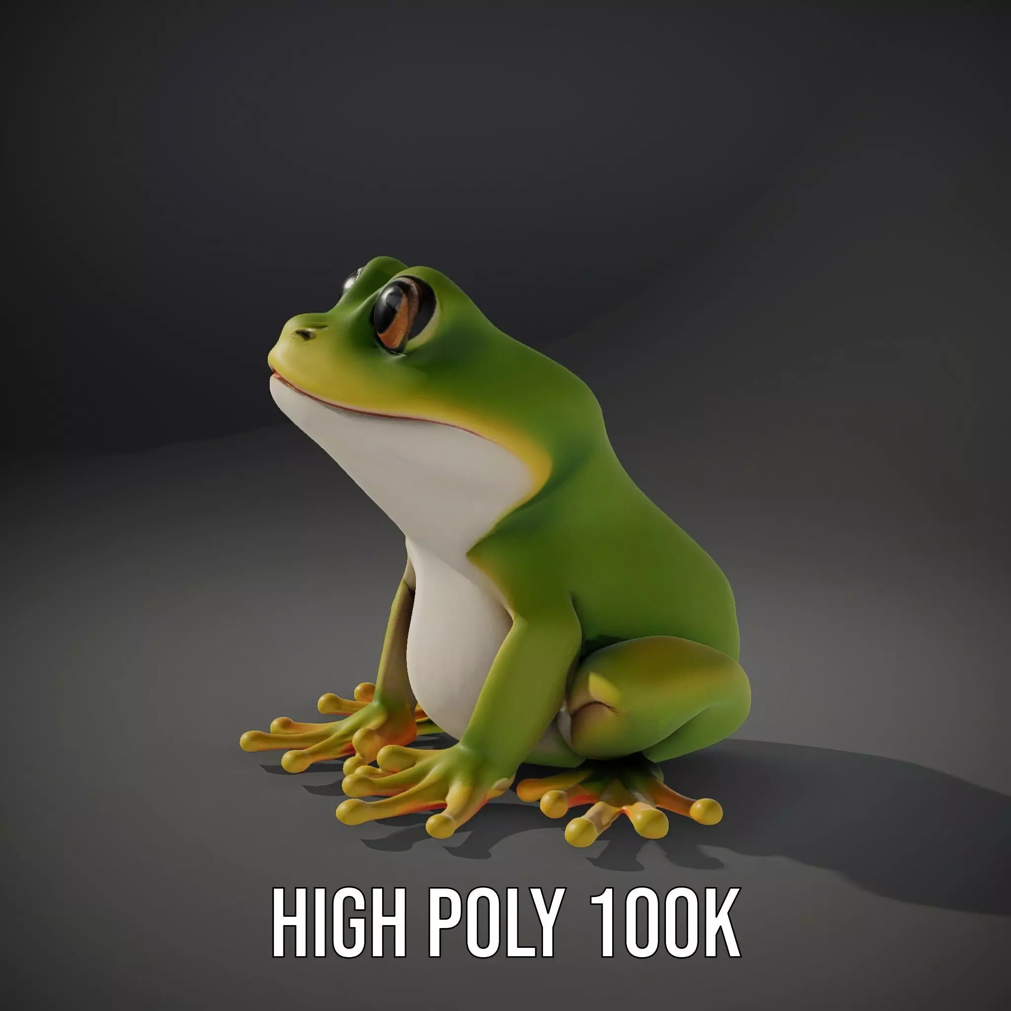 Vibrant Frog Character model pack Low-poly 3D model_8