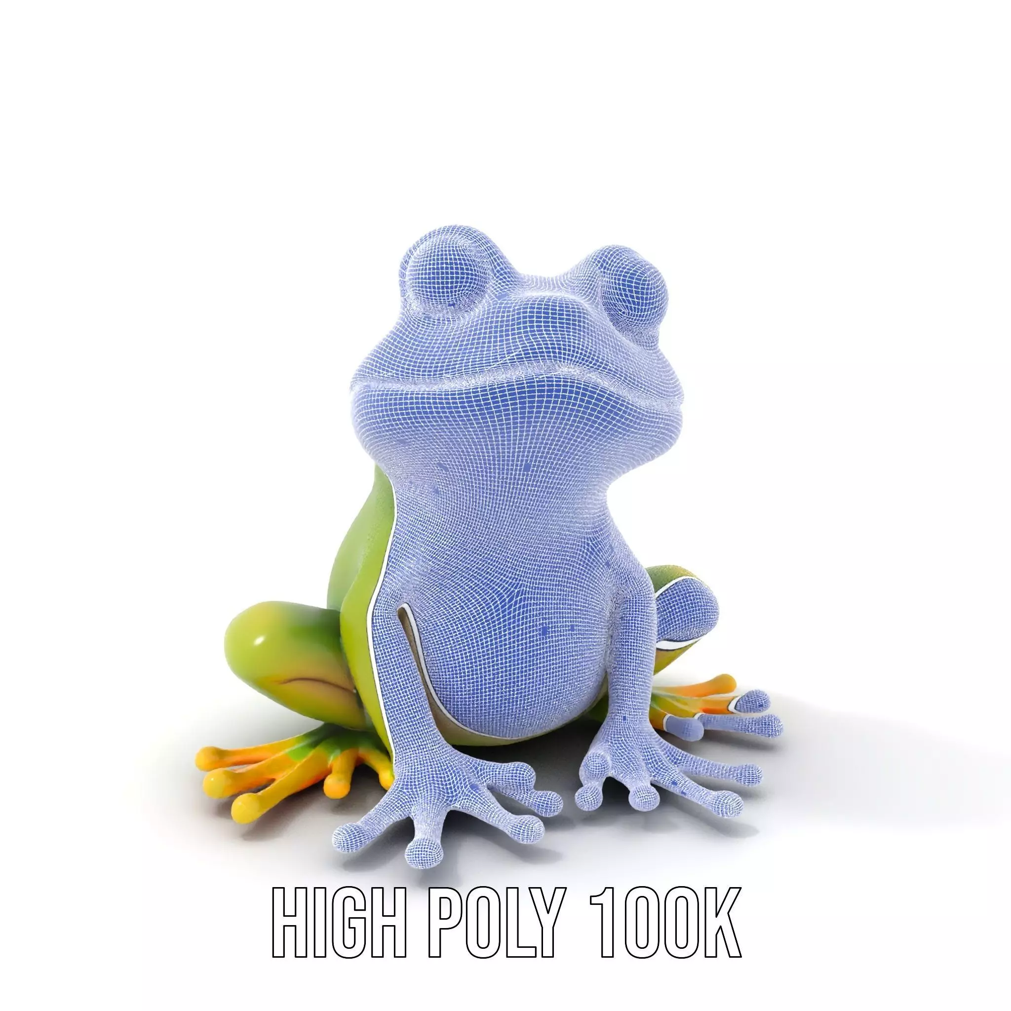 Vibrant Frog Character model pack Low-poly 3D model_4