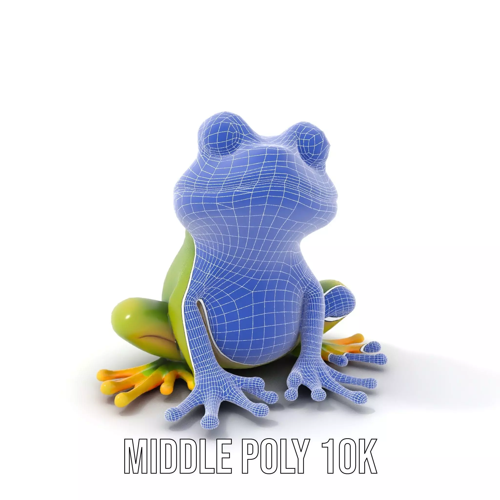 Vibrant Frog Character model pack Low-poly 3D model_18