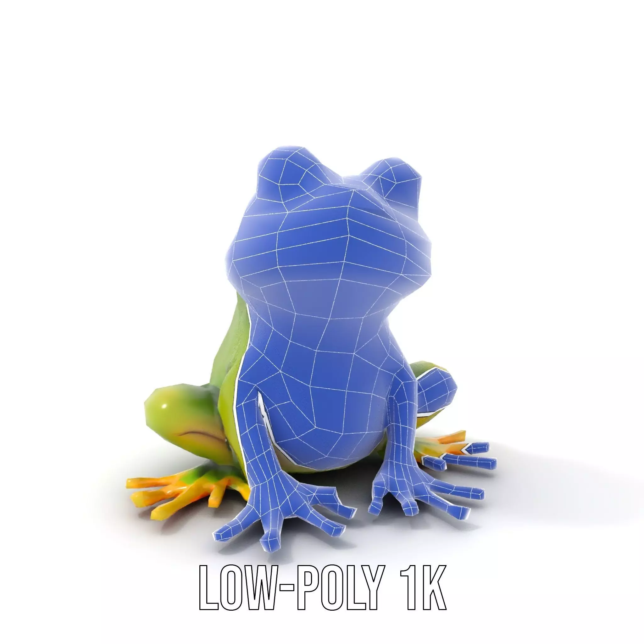 Vibrant Frog Character model pack Low-poly 3D model_24