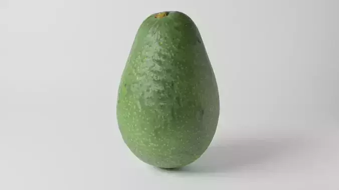 Realistic Avocado 3D Model