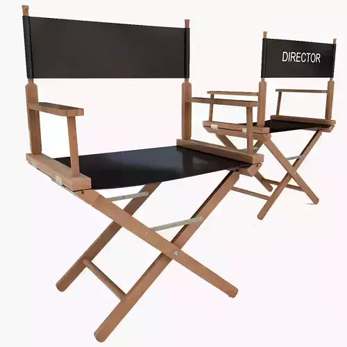 Director Chair
