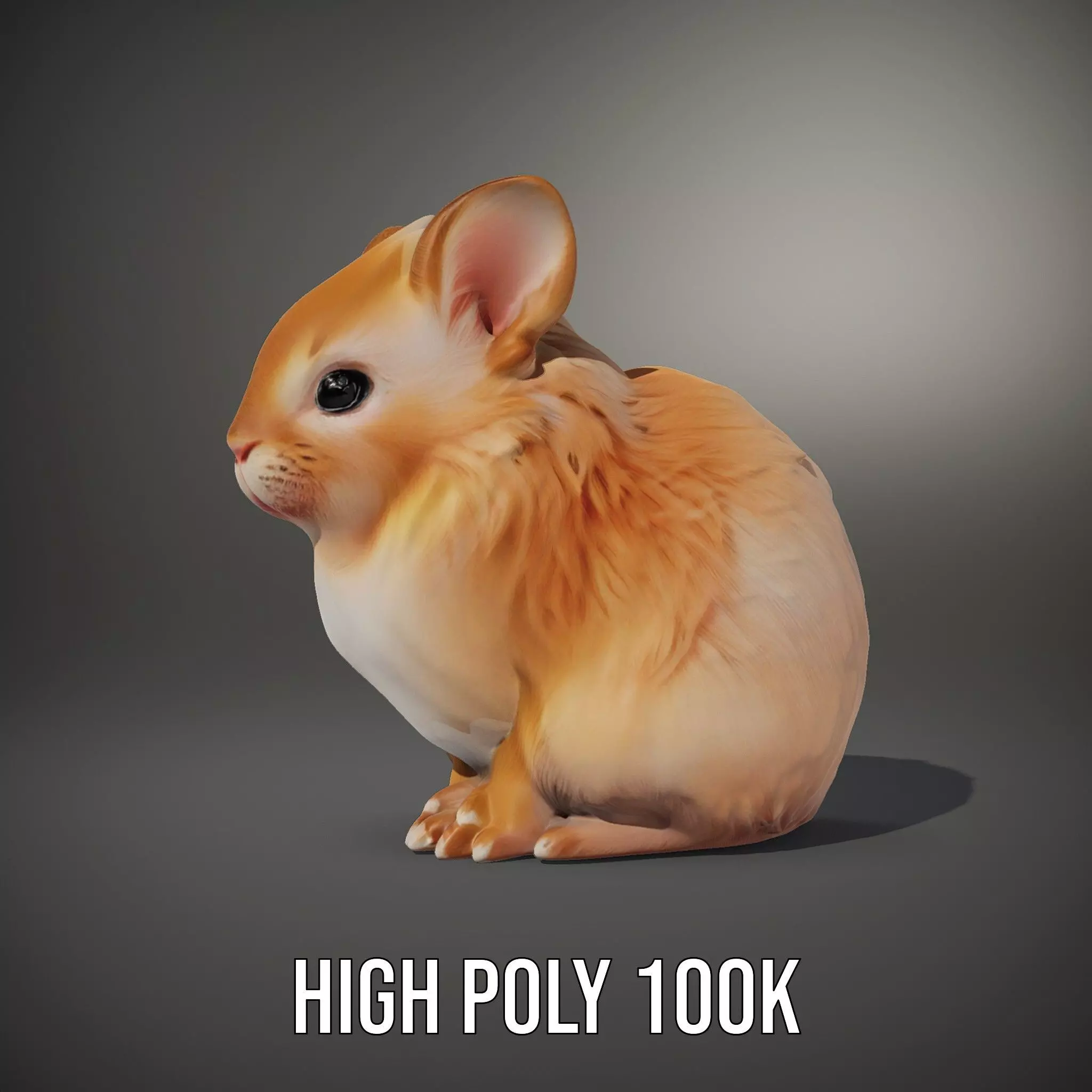 Fluffy Peach Rabbit model pack Low-poly 3D model_9