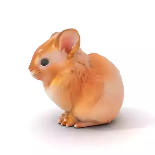 Fluffy Peach Rabbit model pack Low-poly 3D model