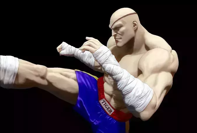 Sagat