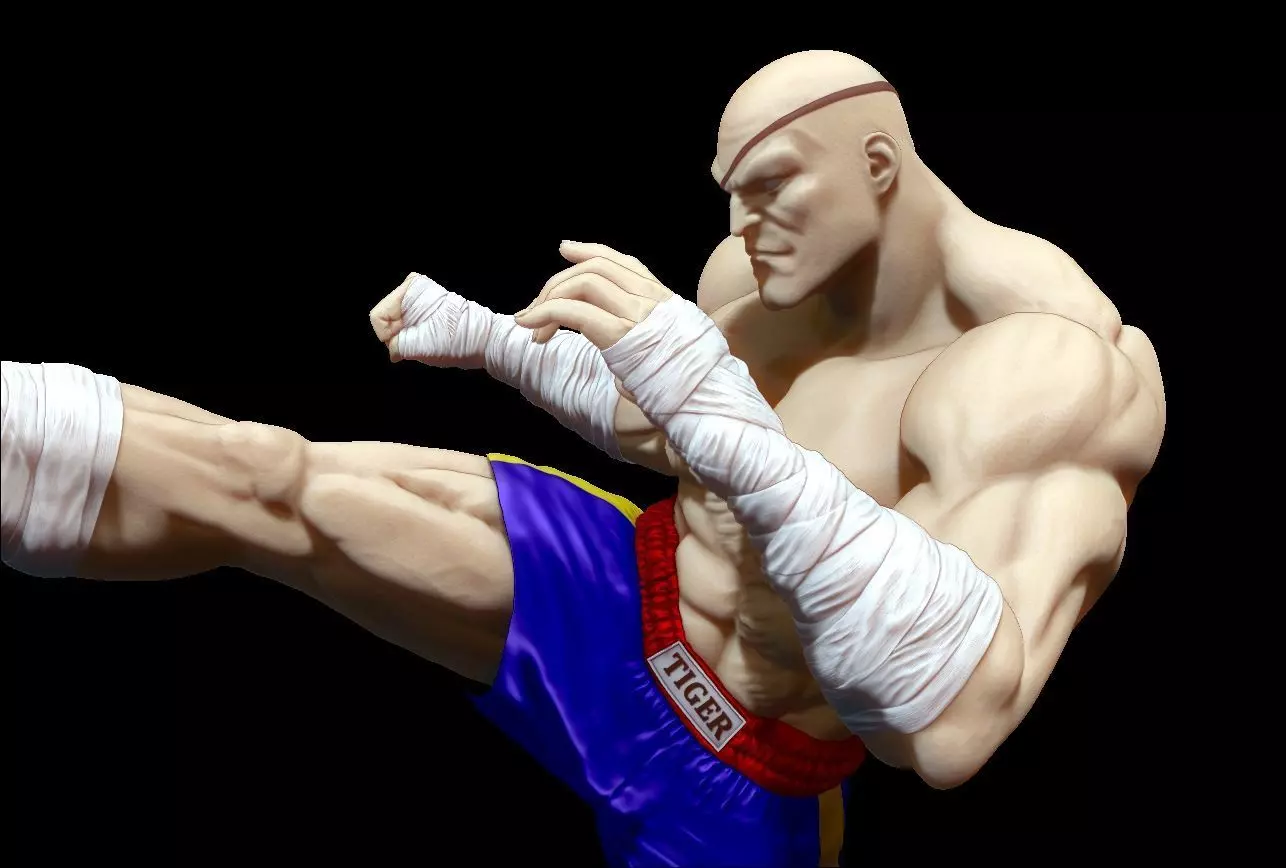 Sagat 3D print model_0