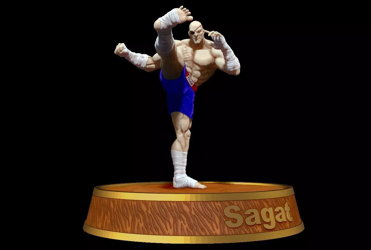 Sagat 3D print model_5