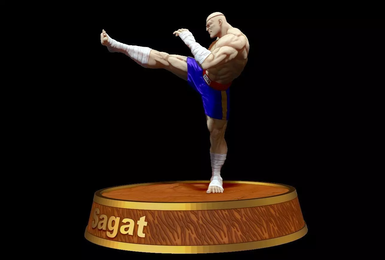 Sagat 3D print model_1