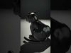 Charming Black Panther model pack Low-poly 3D model_2